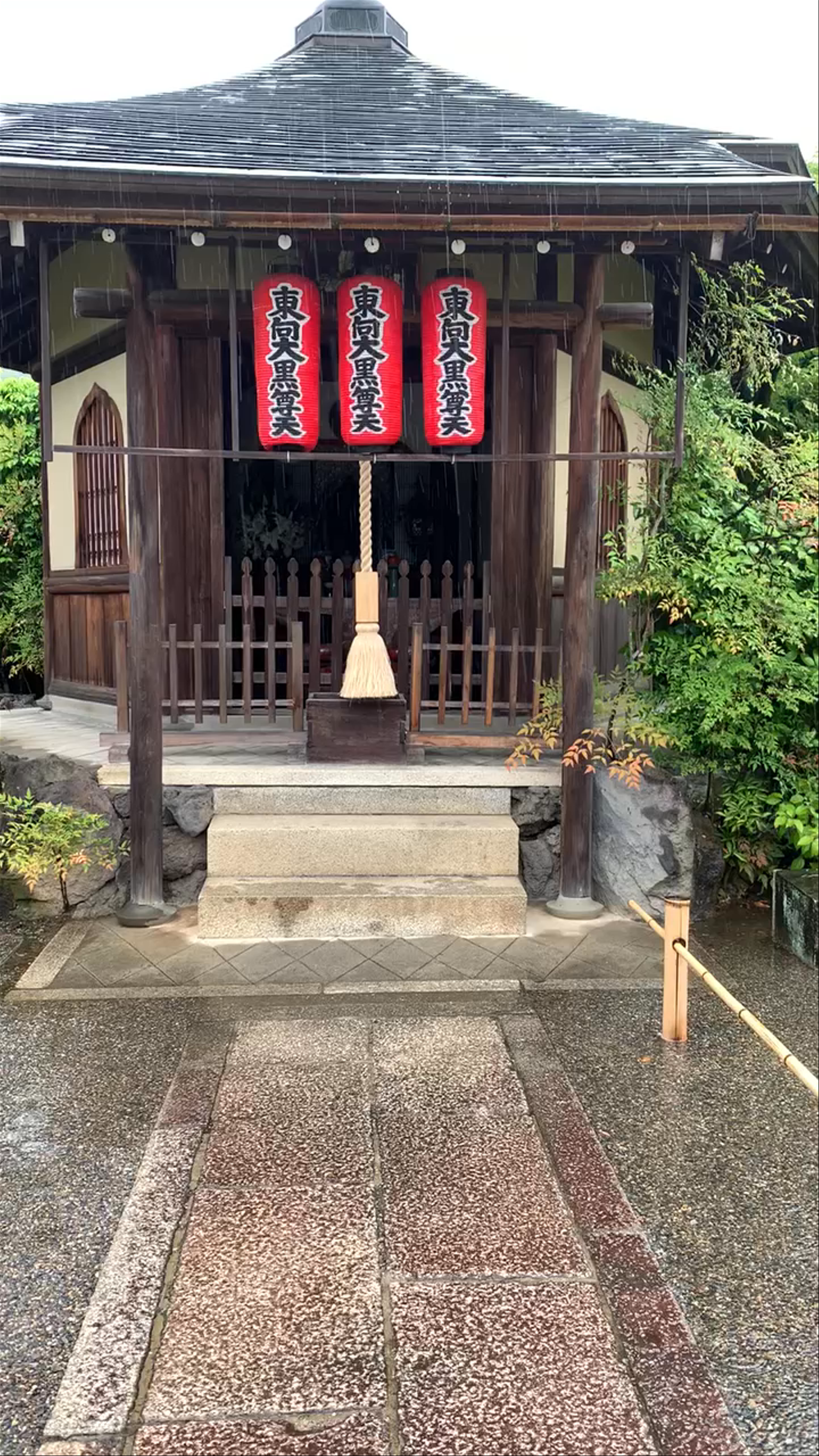 Arashiyama Bamboo Forest
