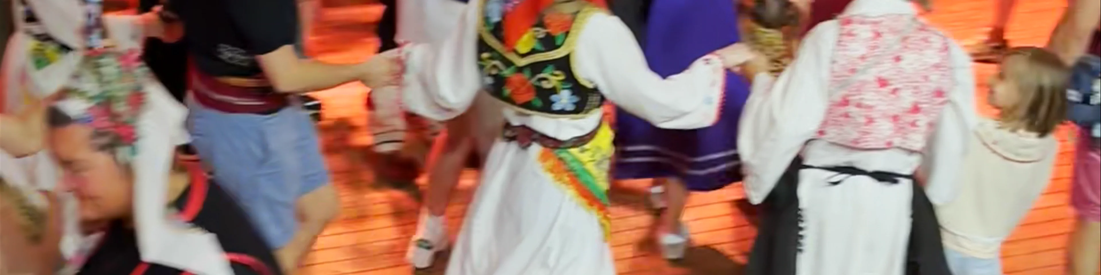 Albanian Night