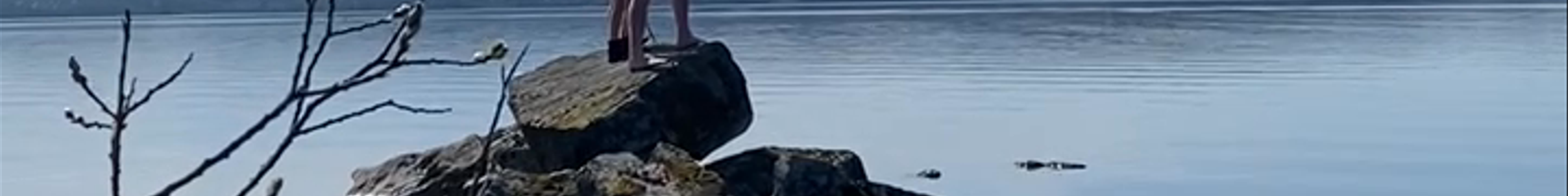 Tours & experiences in Värmland