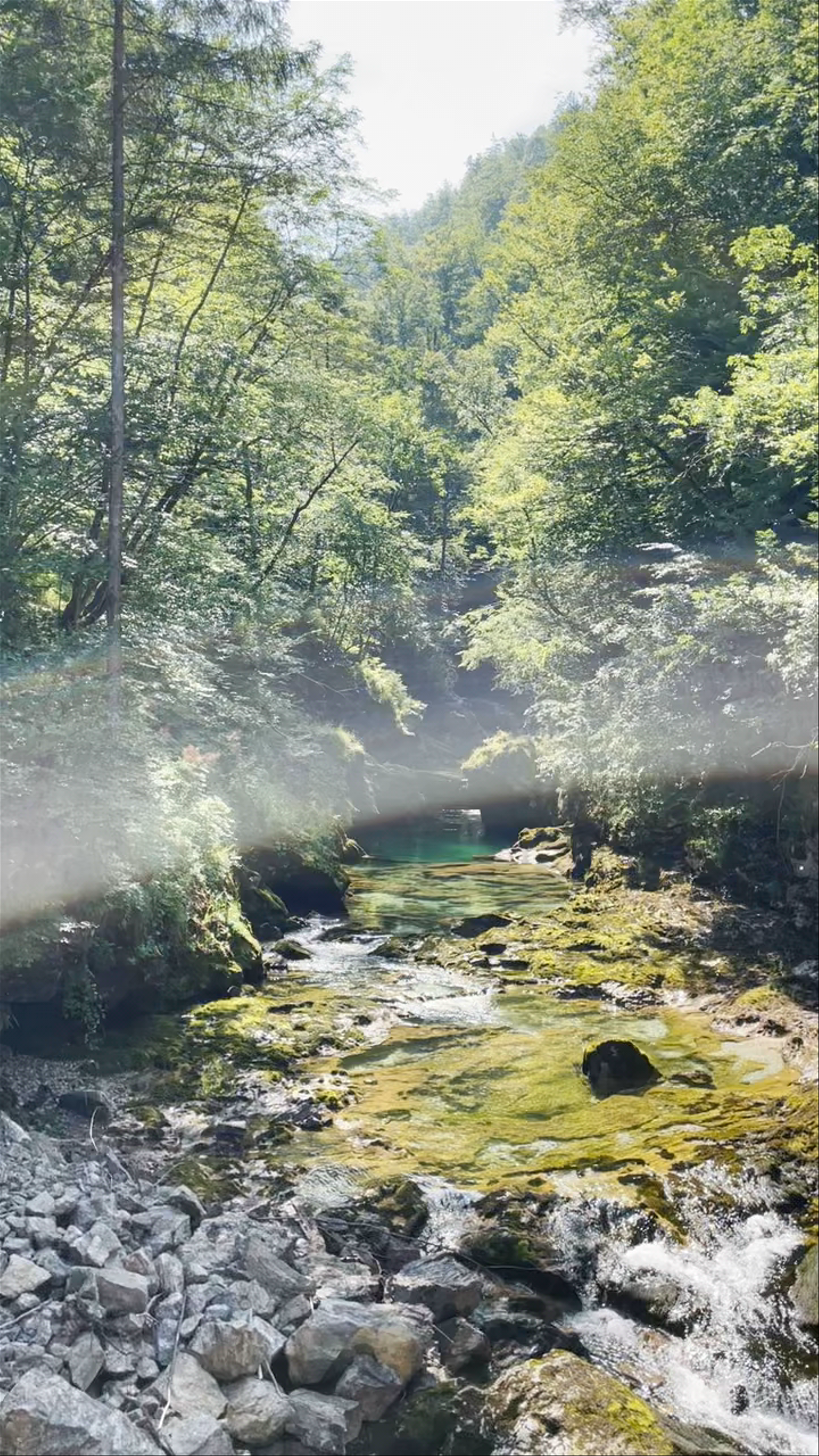 Vintgar Gorge