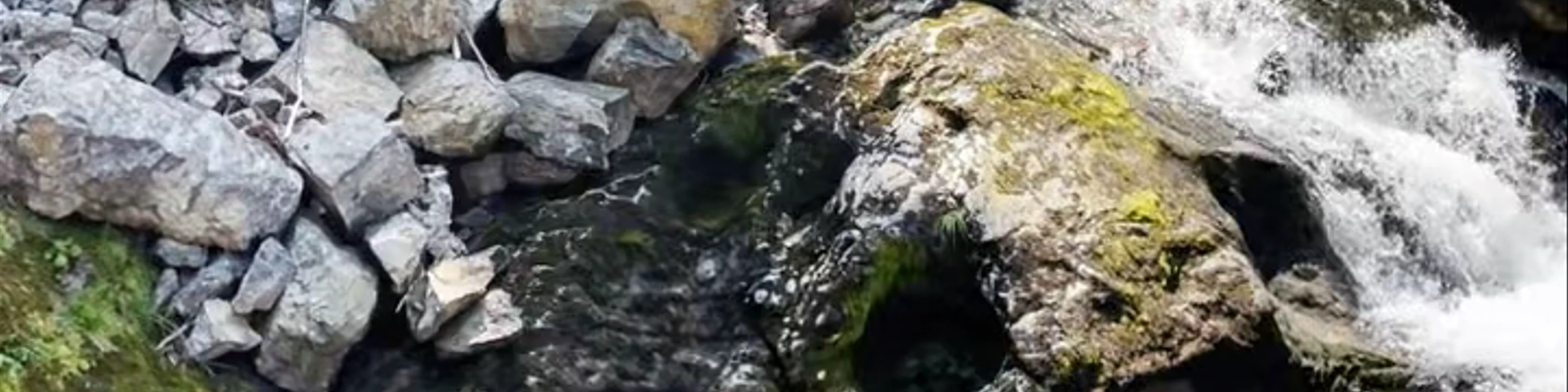 Vintgar Gorge