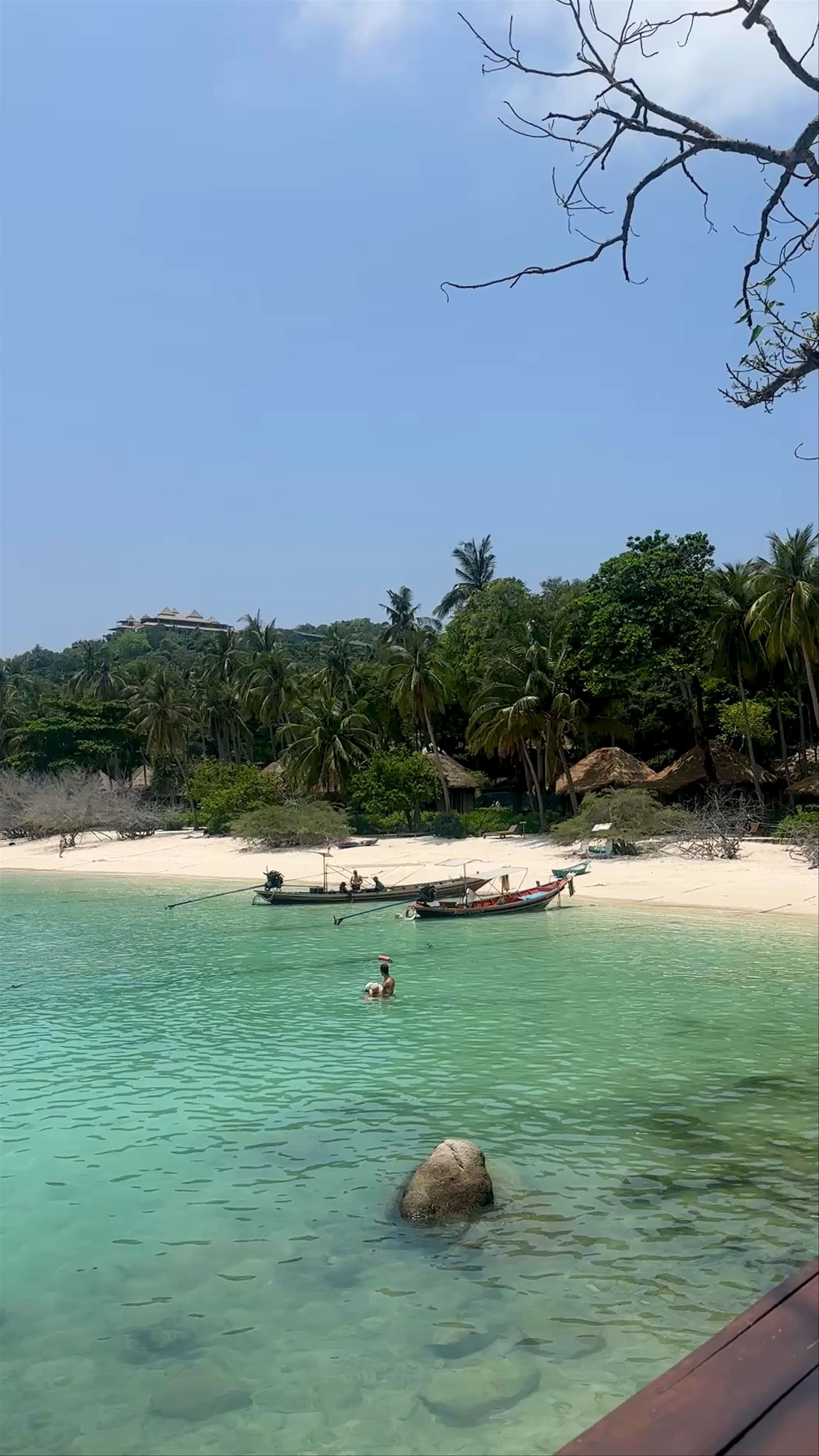 Shark beach