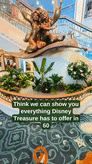 Disney Treasure