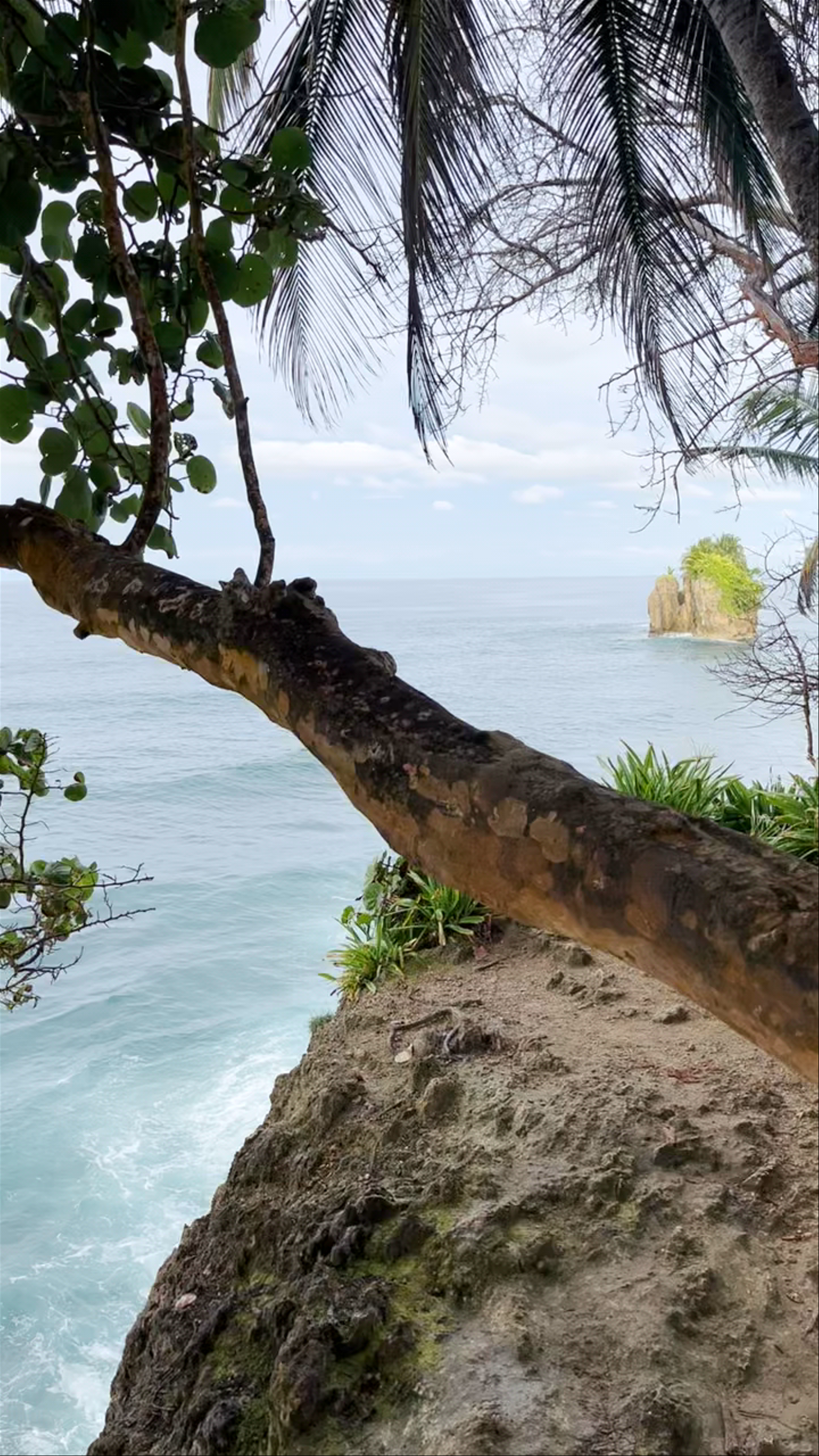 Coastal Serenity and Wild Beauty at Cocles Beach, Puerto Viejo de Talamanca