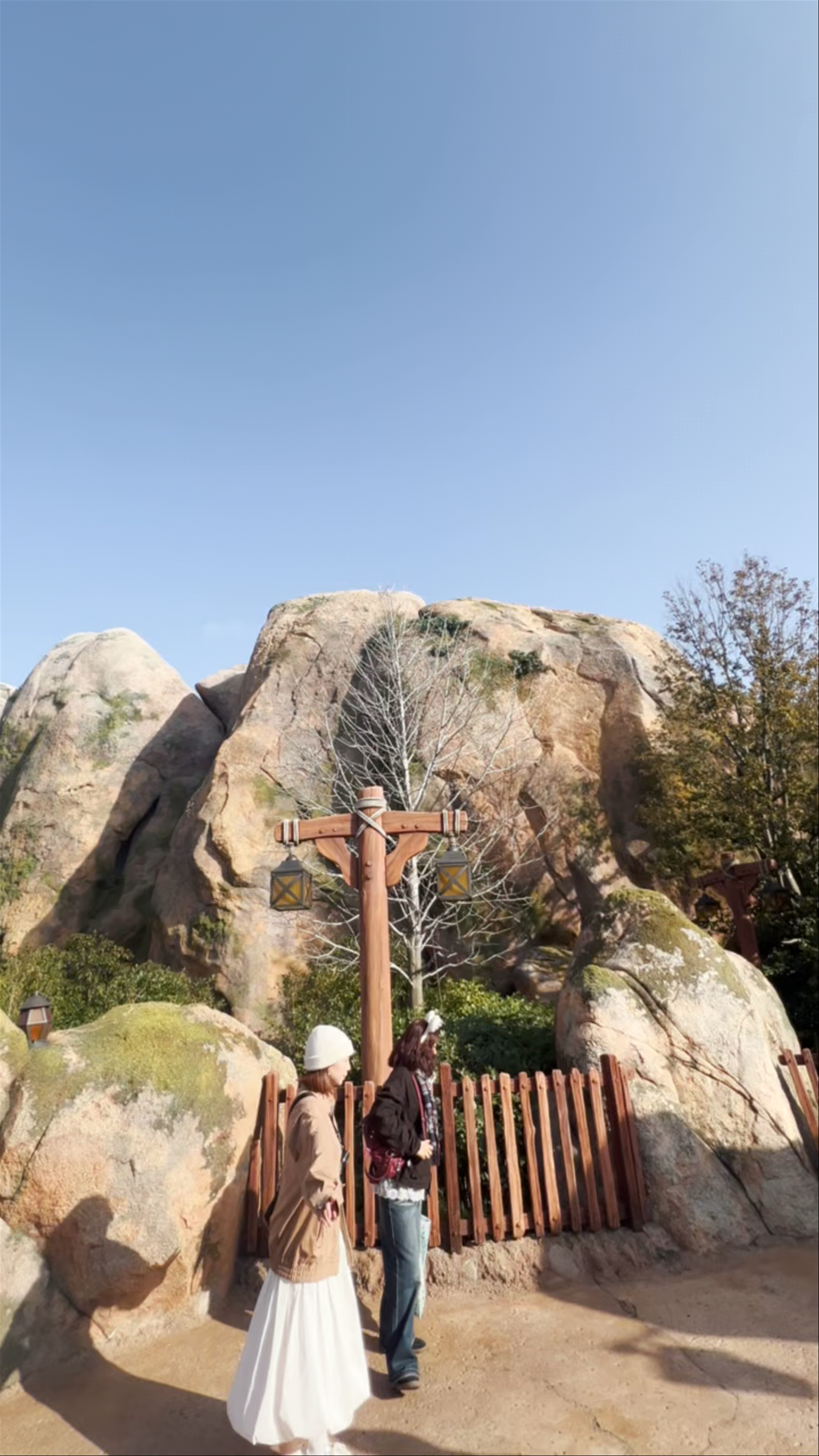 Rapunzel's Forest