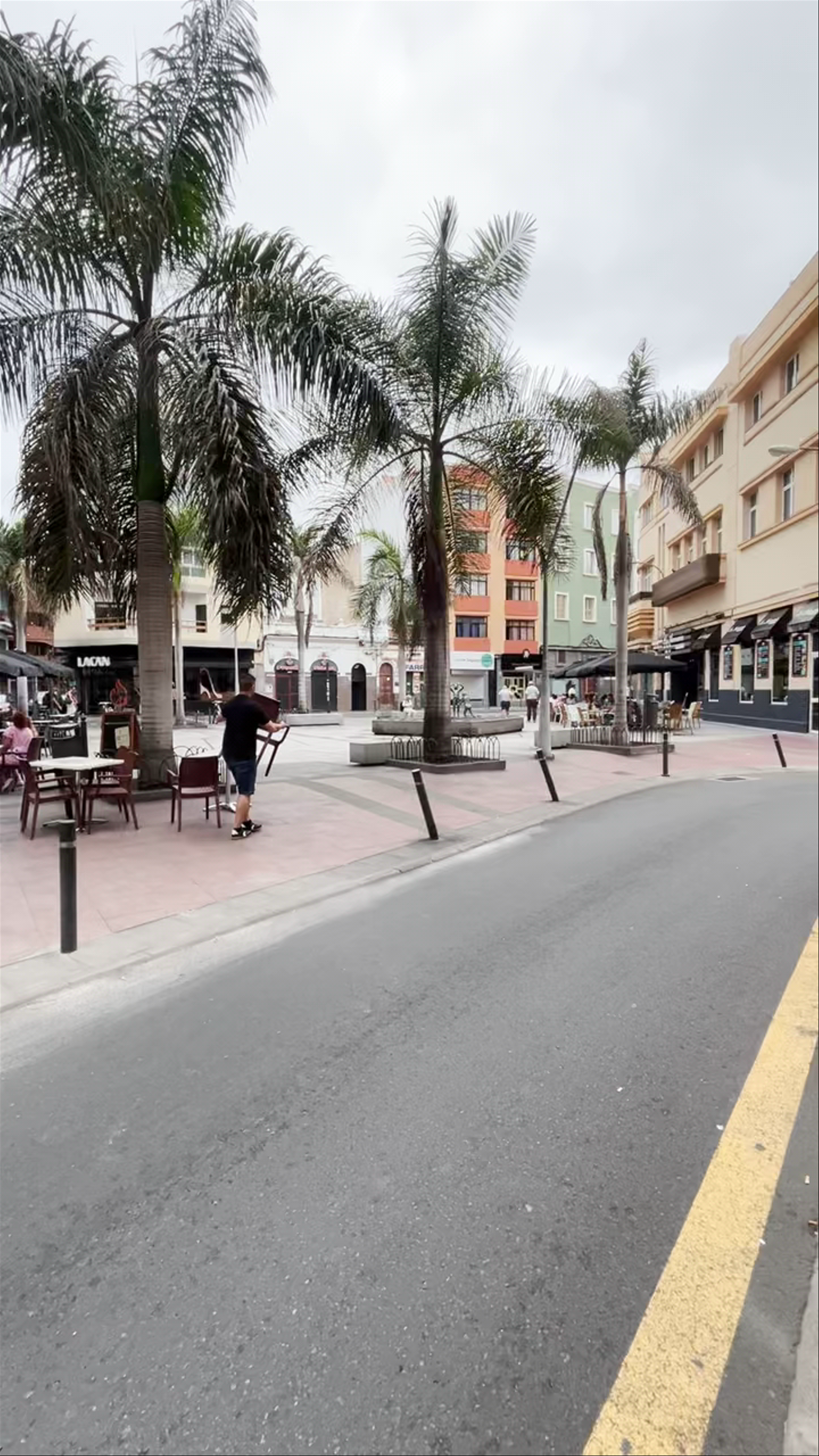 Organic Jungle: Urban Calm and Cozy Cafes in Las Palmas de Gran Canaria