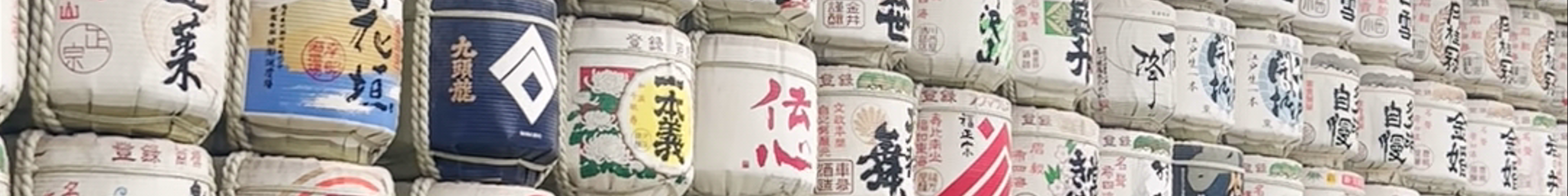 Tours & experiences in Tokyo
