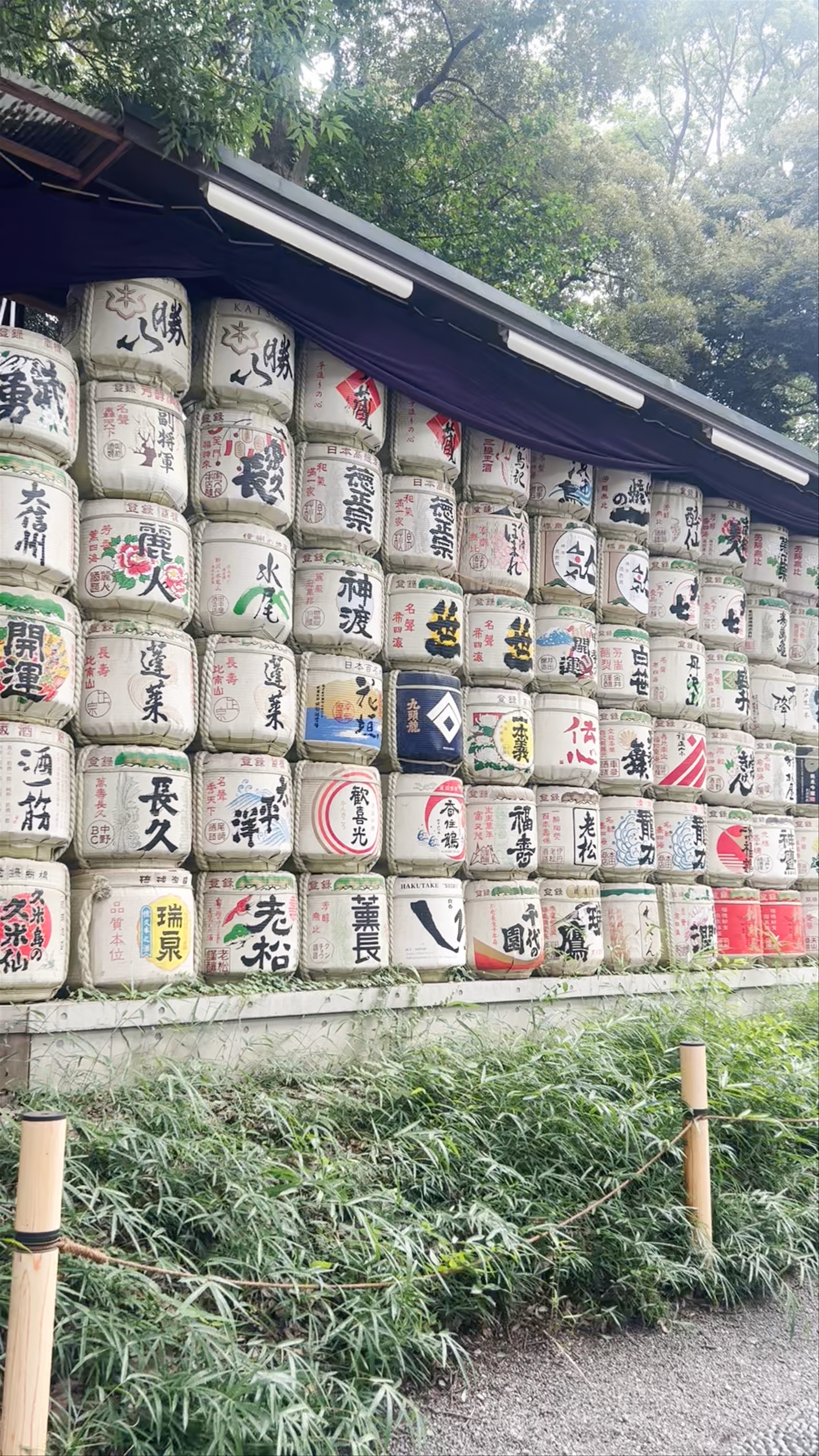 Sake Barrel Display at Meiji Jingu Shrine in Tokyo