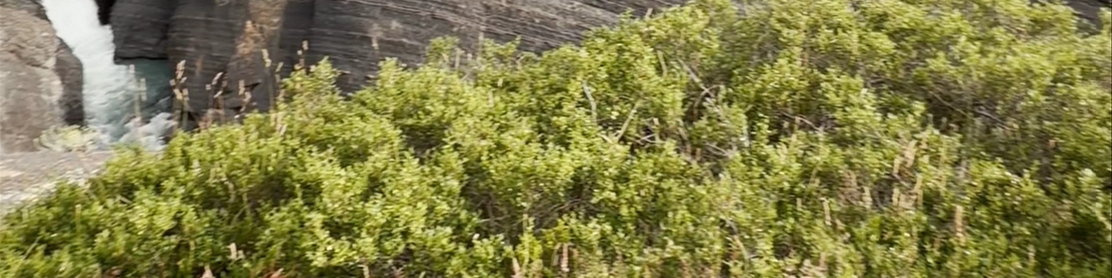 Parque Nacional Torres del Paine