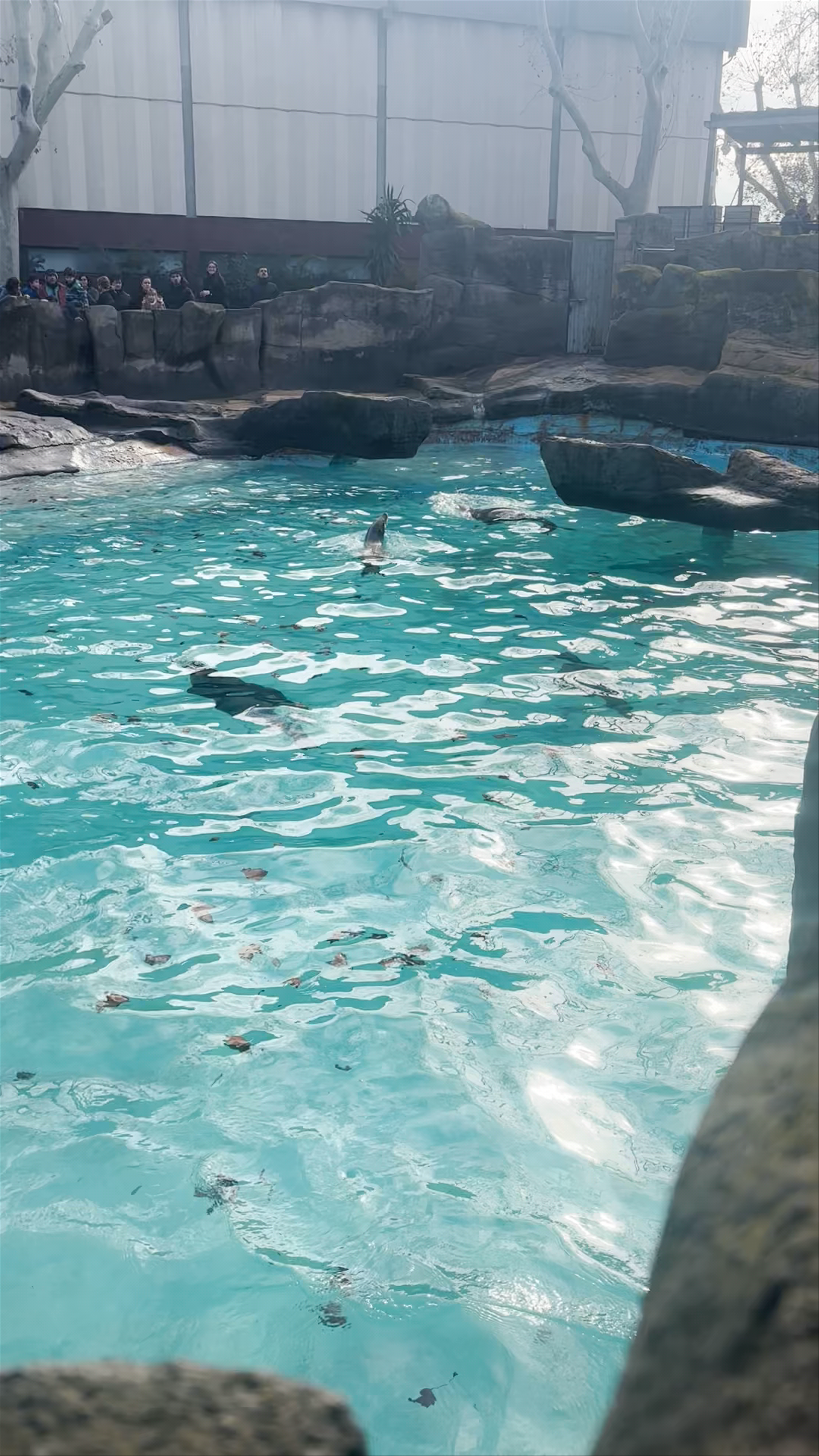 Barcelona Zoo