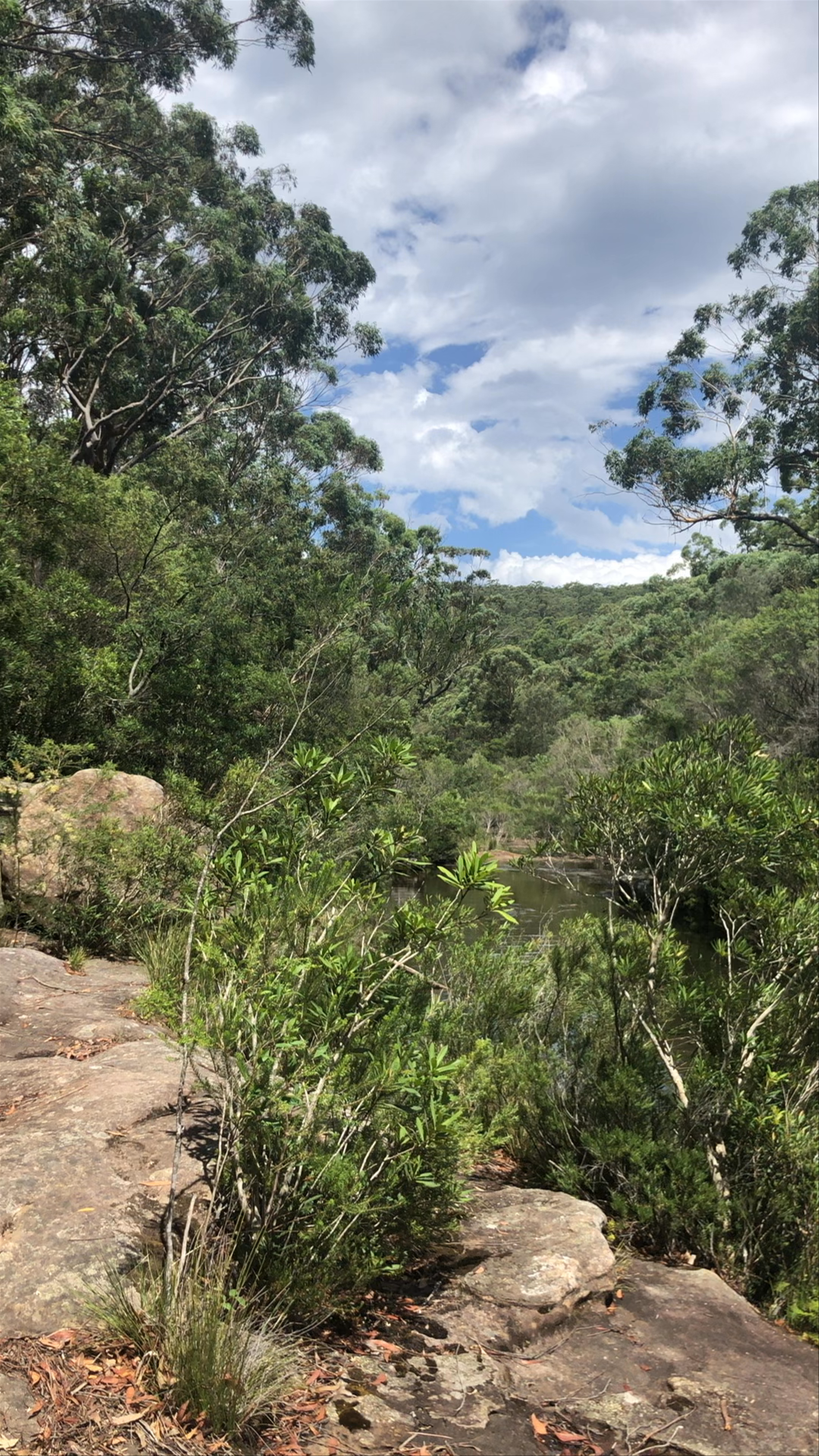Karloo walking track