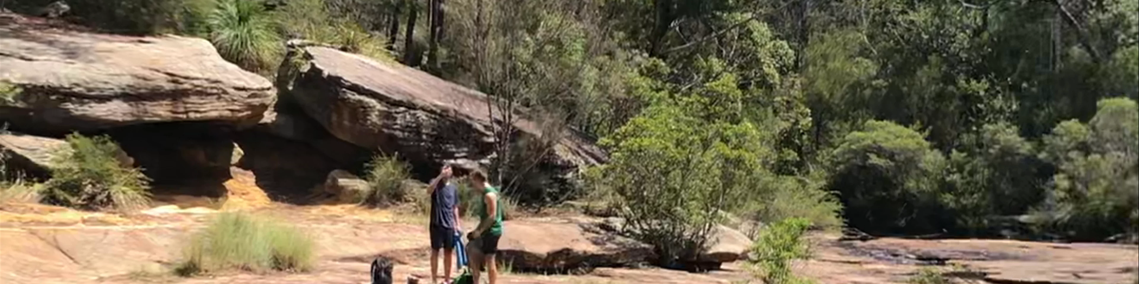 Karloo walking track