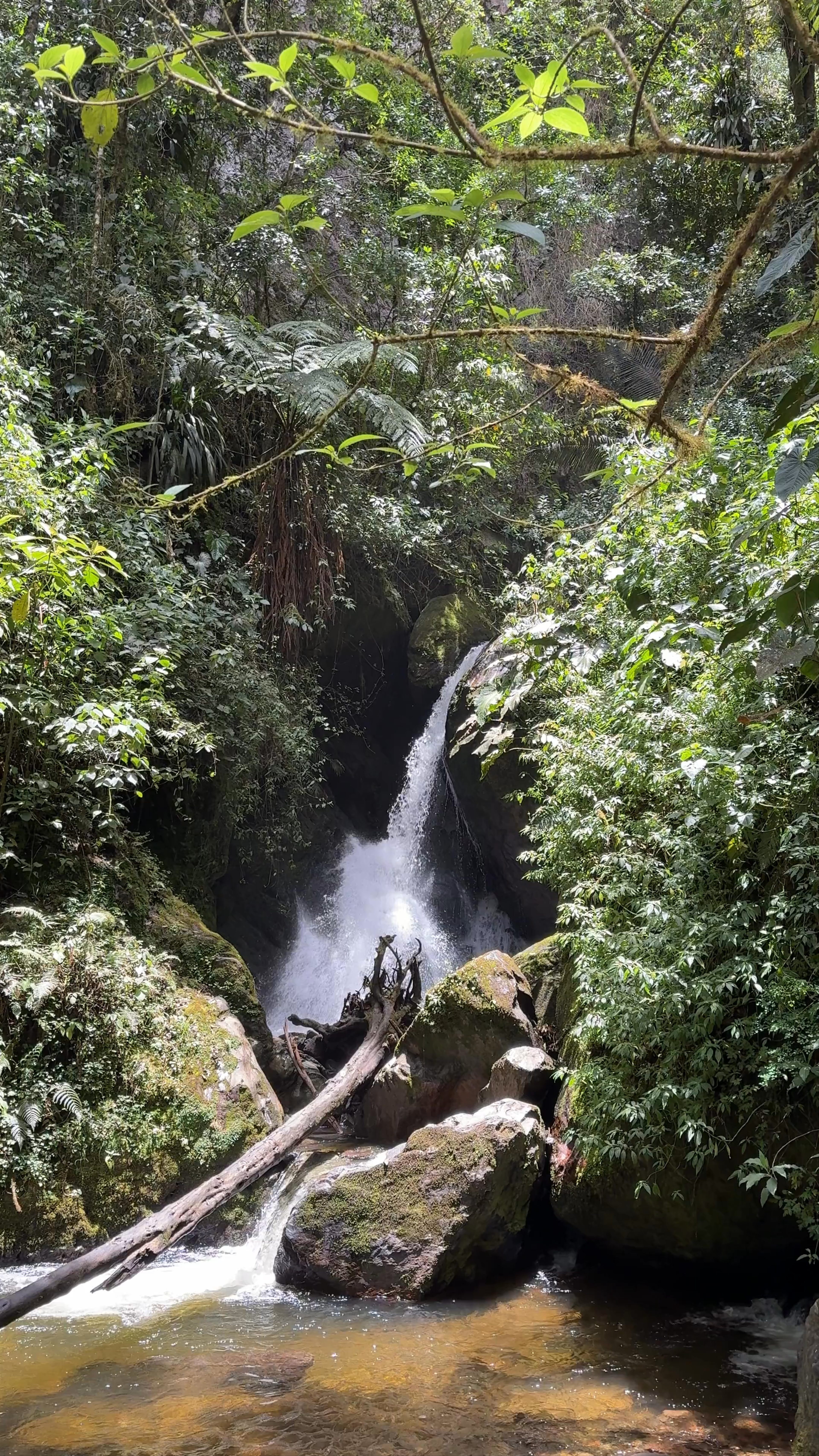 Enchanting Waterfall at Acaime Nature Reserve, Salento, Colombia