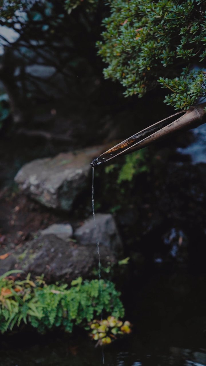 週末はここへ
🎥 Anh Nguyen · Pexels
#日本 #旅行 #絶景 #風景 #japan