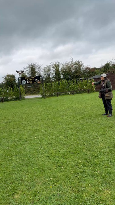 Falconry Kerry - Tours Near Me - Inchicullane, Kentucky