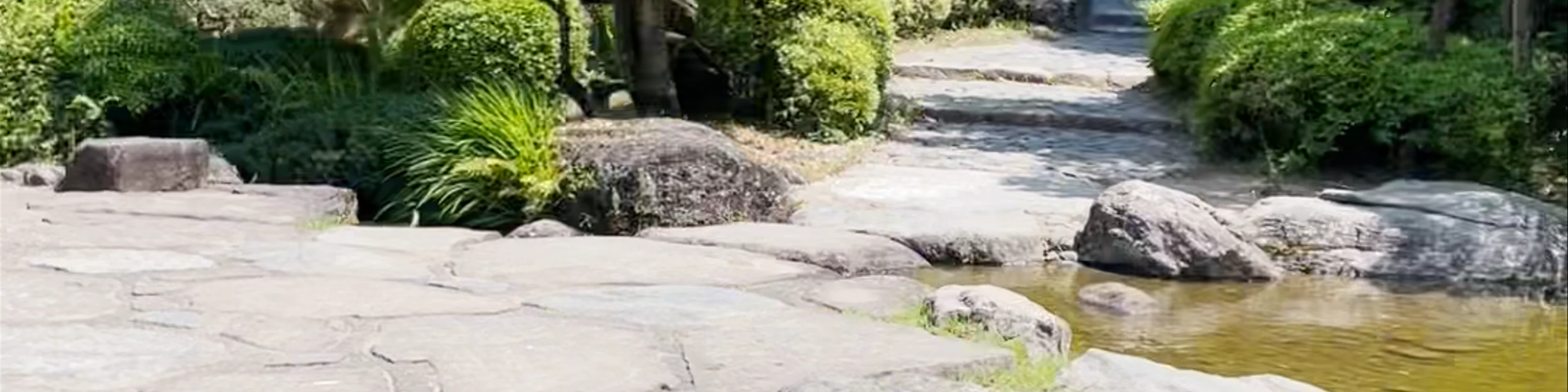 Ryuju Pond