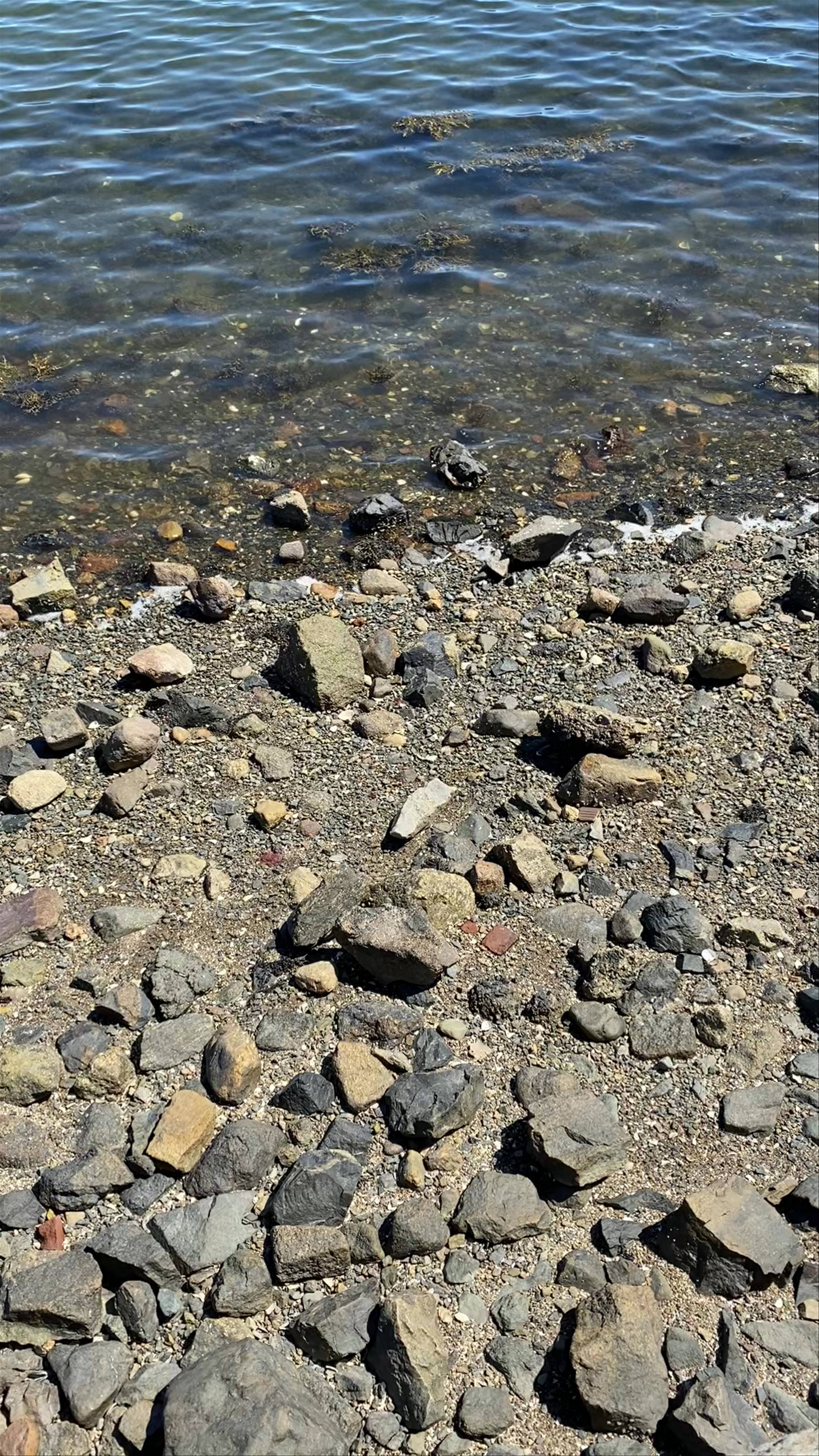 Derby Wharf Light Station