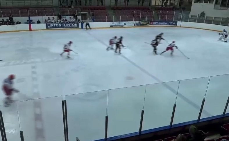 Brendan-Lee Hodgkinson's Game-Winning Goal | Cambridge Hawks U15 AAA
