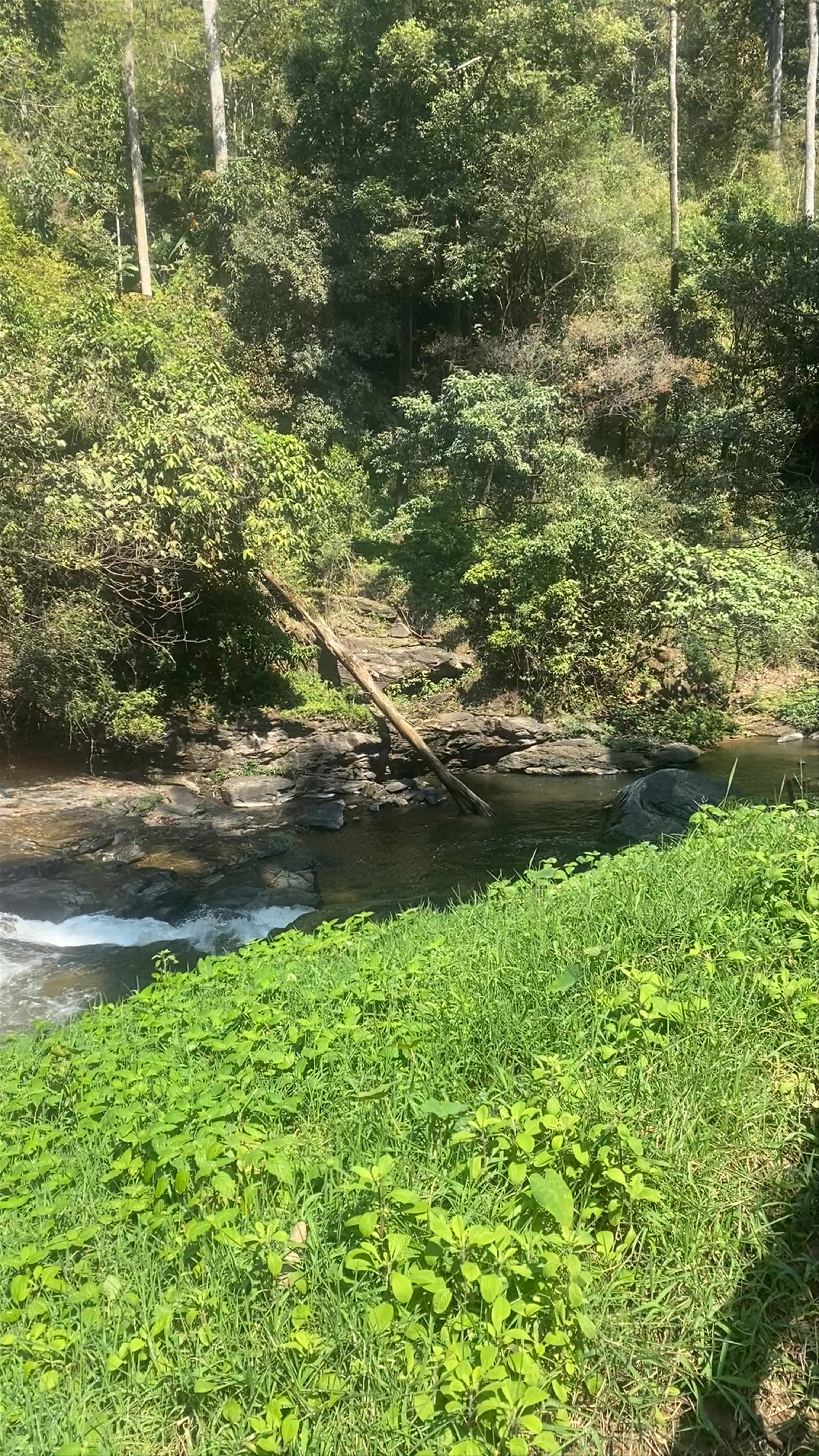 Wachirathan Waterfall