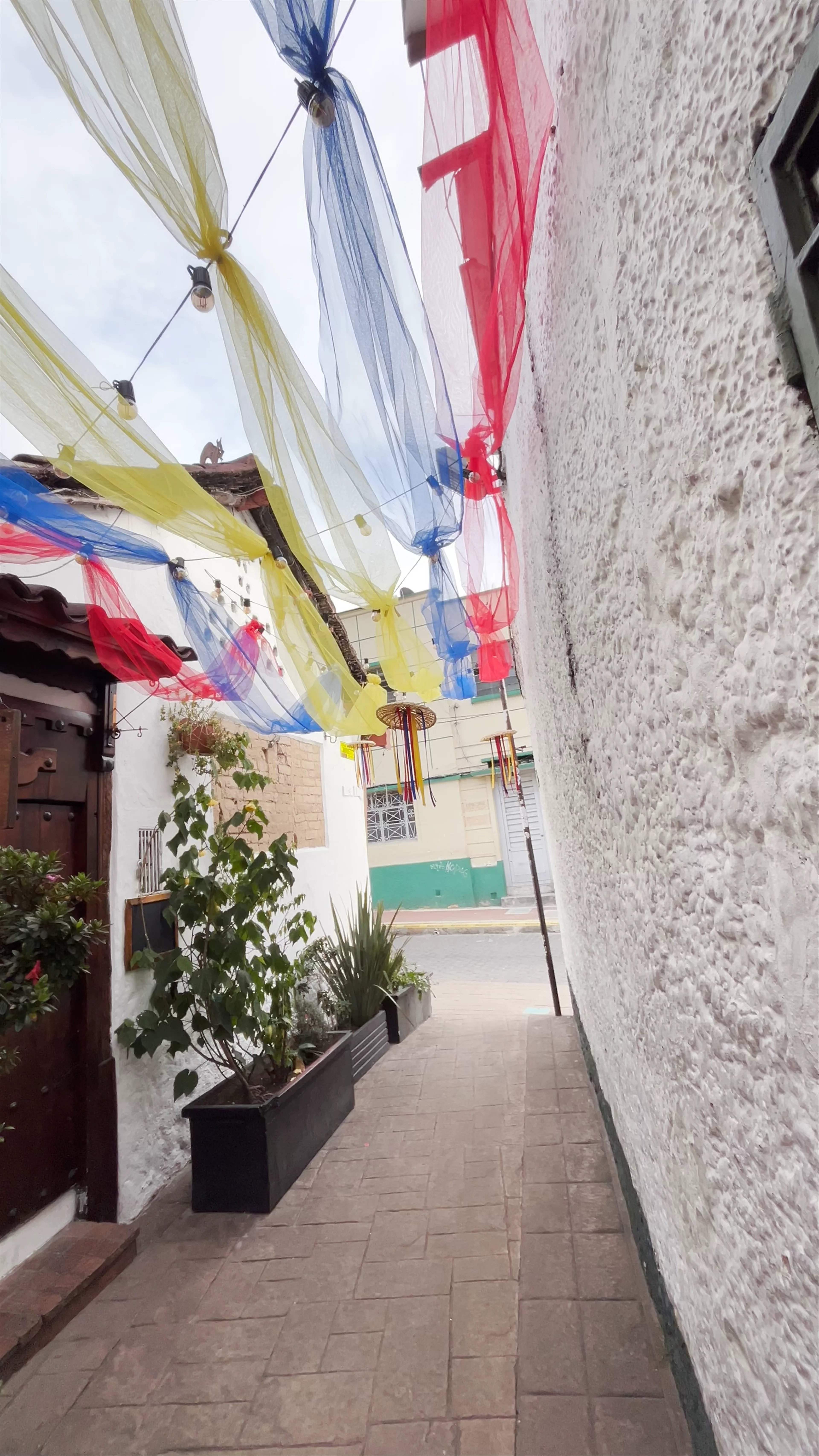 El Gato Gris, La Candelaria