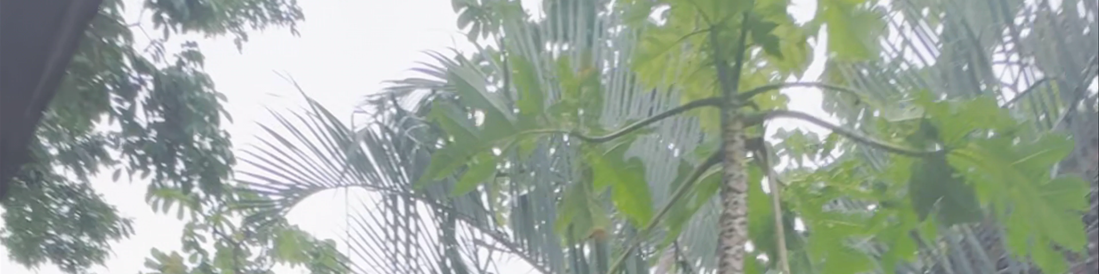 MANAWAKIE ECO NATURE PARK