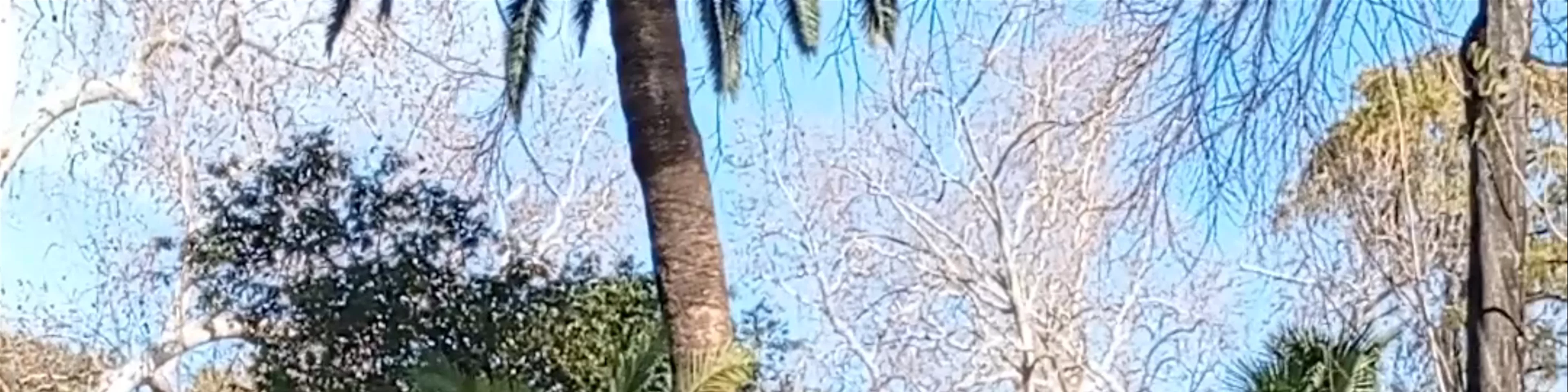 Isleta de los Pájaros