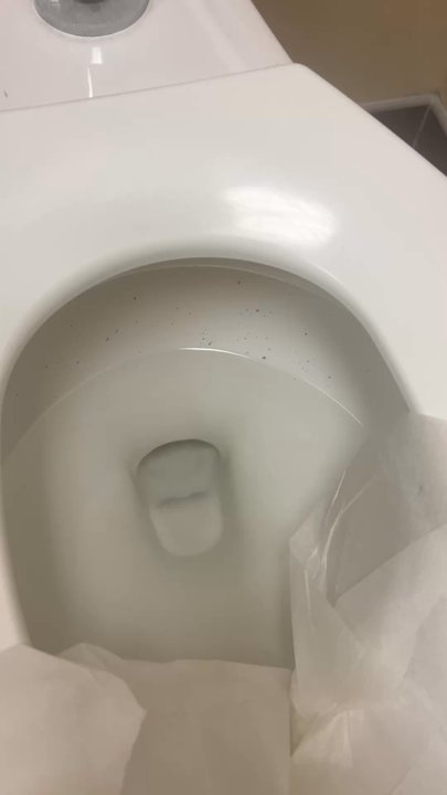 Golf Galaxy - Please clean your bathrooms - Sports Wear Near Me - SAINT LOUIS, Missouri