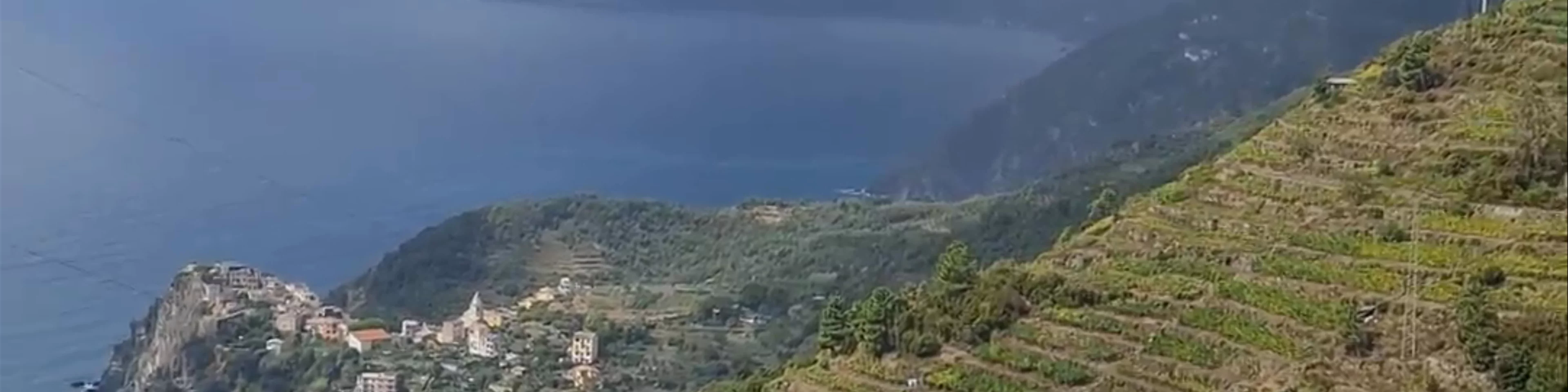 Manarola Scenic Viewpoint