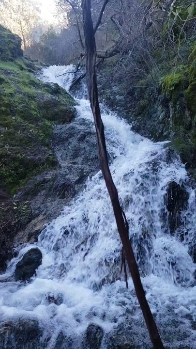 Waterfall Loop at Mount Diablo State Park - Hiking Near Me - Clayton, California