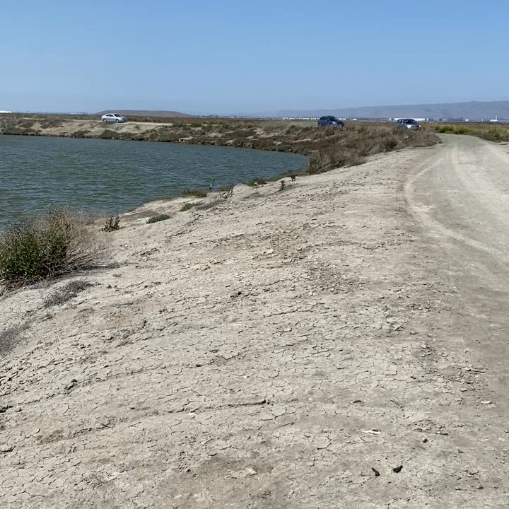 Drawbridge Ghost Town - Local Flavor Near Me