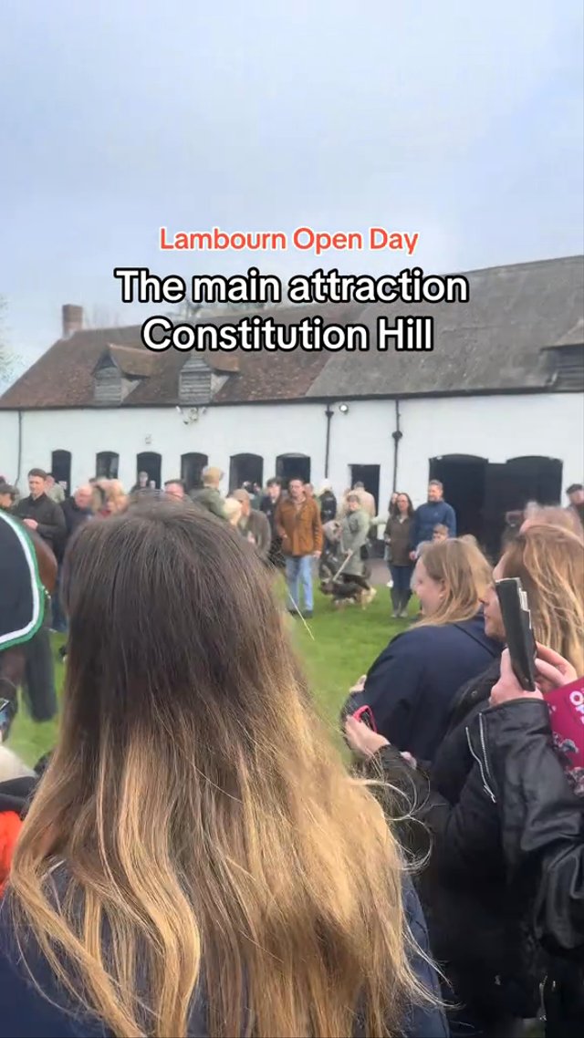 Constitution Hill steals the show at Lambourn Open Day