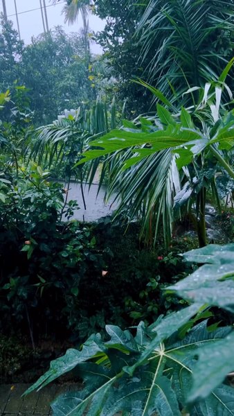 Photo of Magic of Monsoon in 