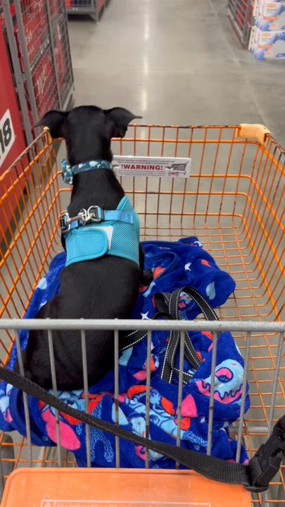 The Home Depot - Hardware Stores Near Me - Coventry, Rhode Island