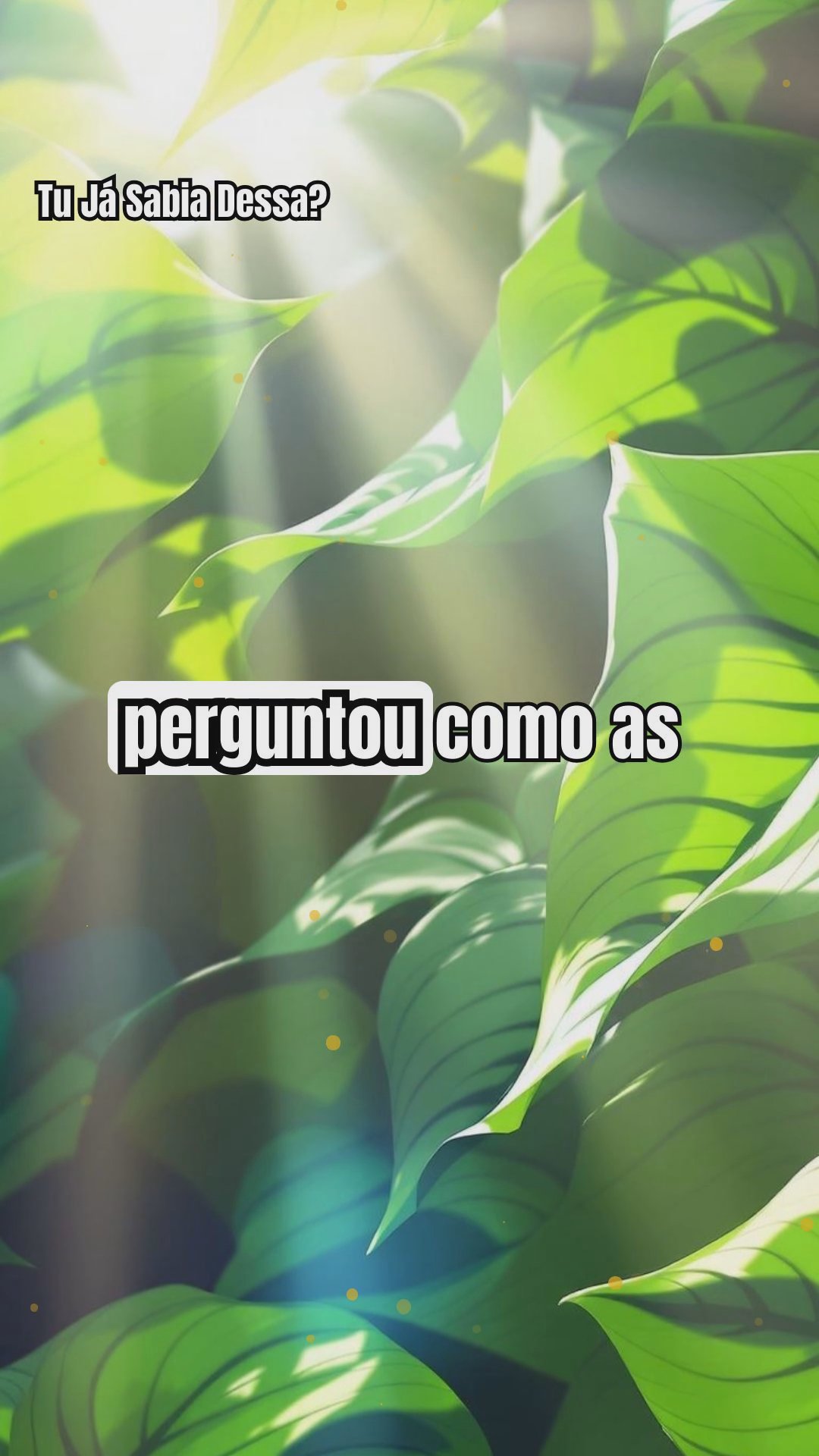 Como a Fotossíntese Funciona: Uma Explicação Clara