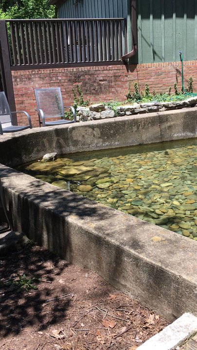 Clinch River Brewing - Breweries Near Me - Norris, Tennessee