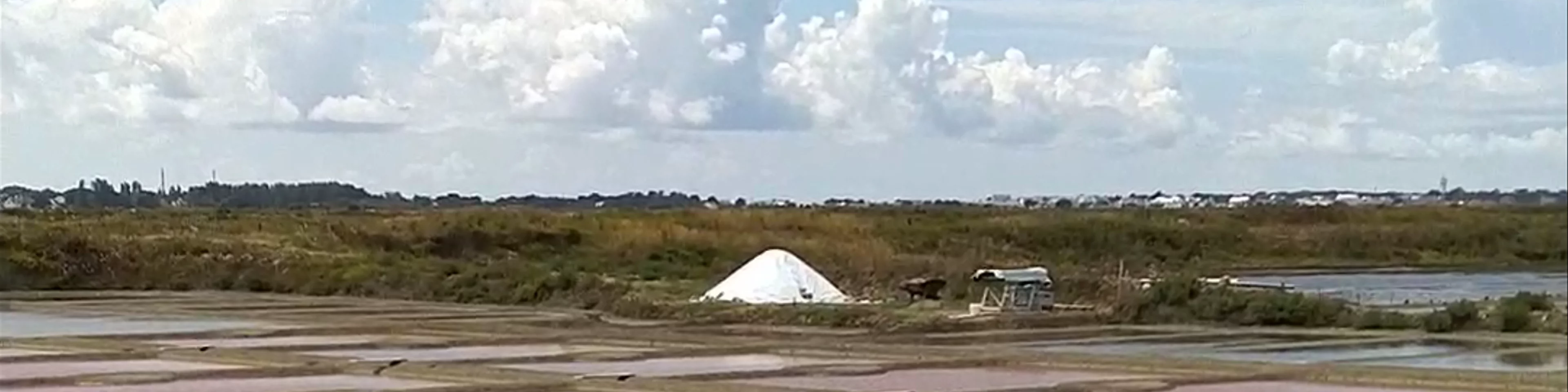Salt marshes of Guérande