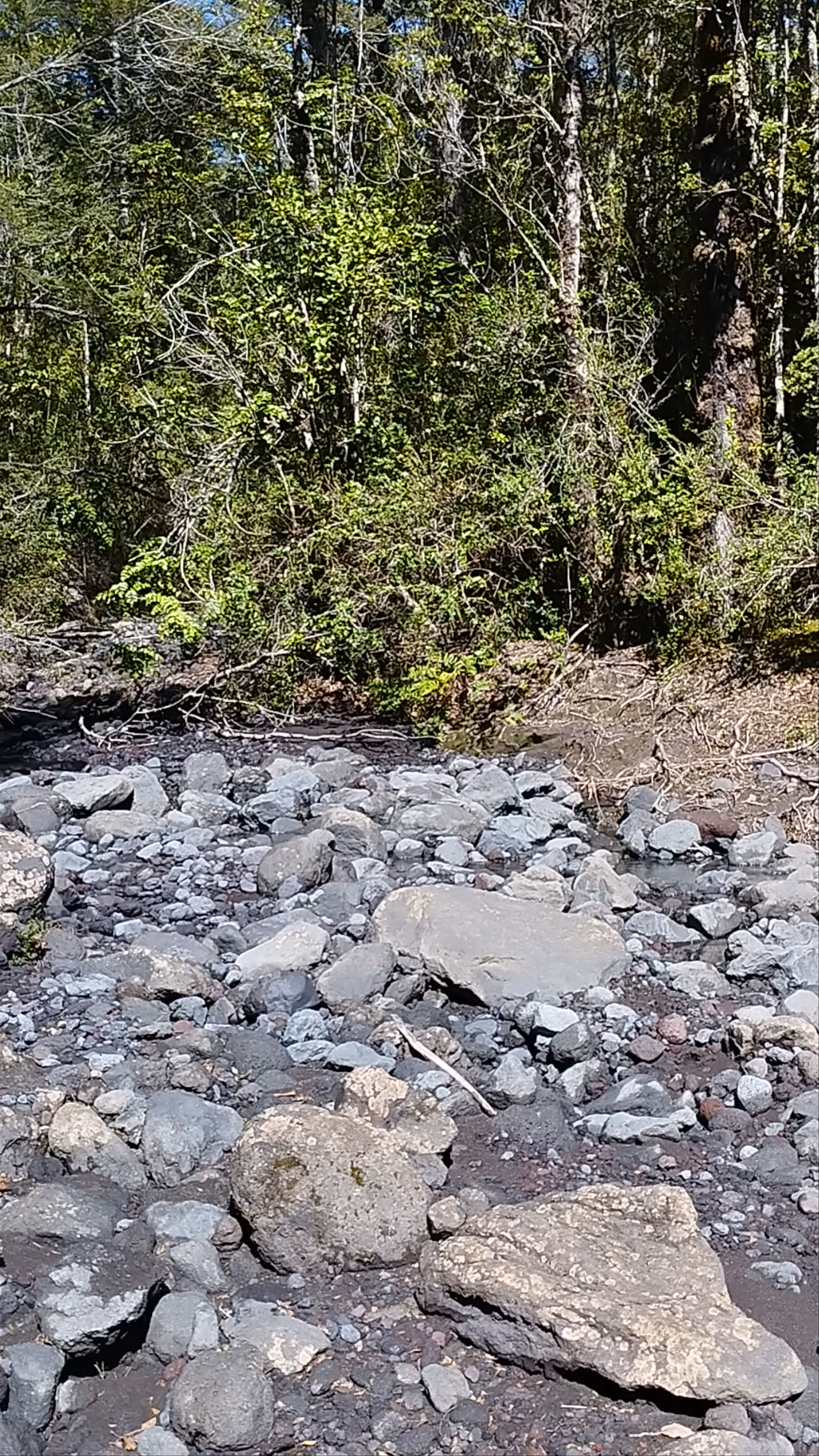 Sendero "Paso Desolación" - Sendero Paso Desolación