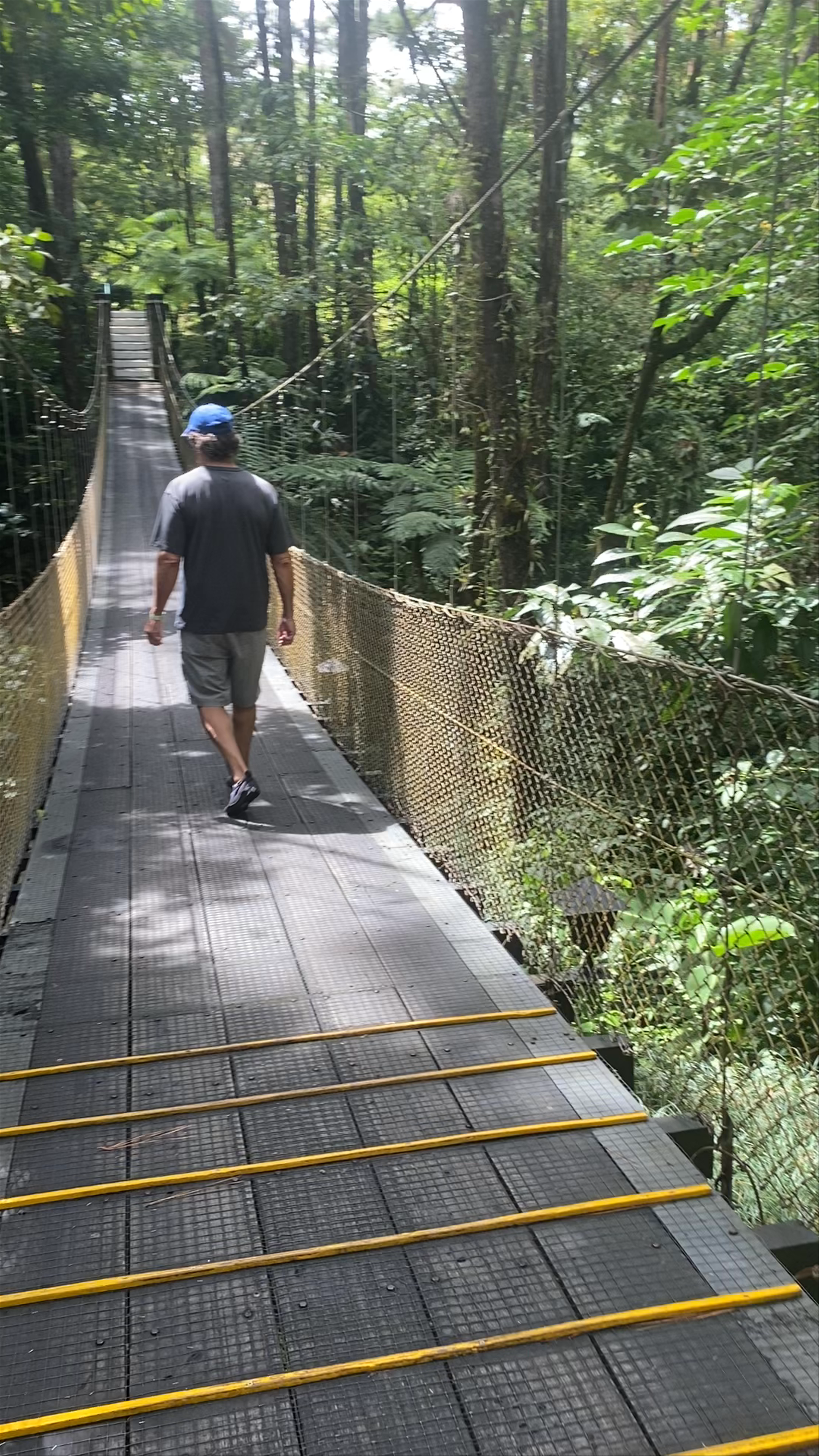 Old Lava Trail, San Carlos