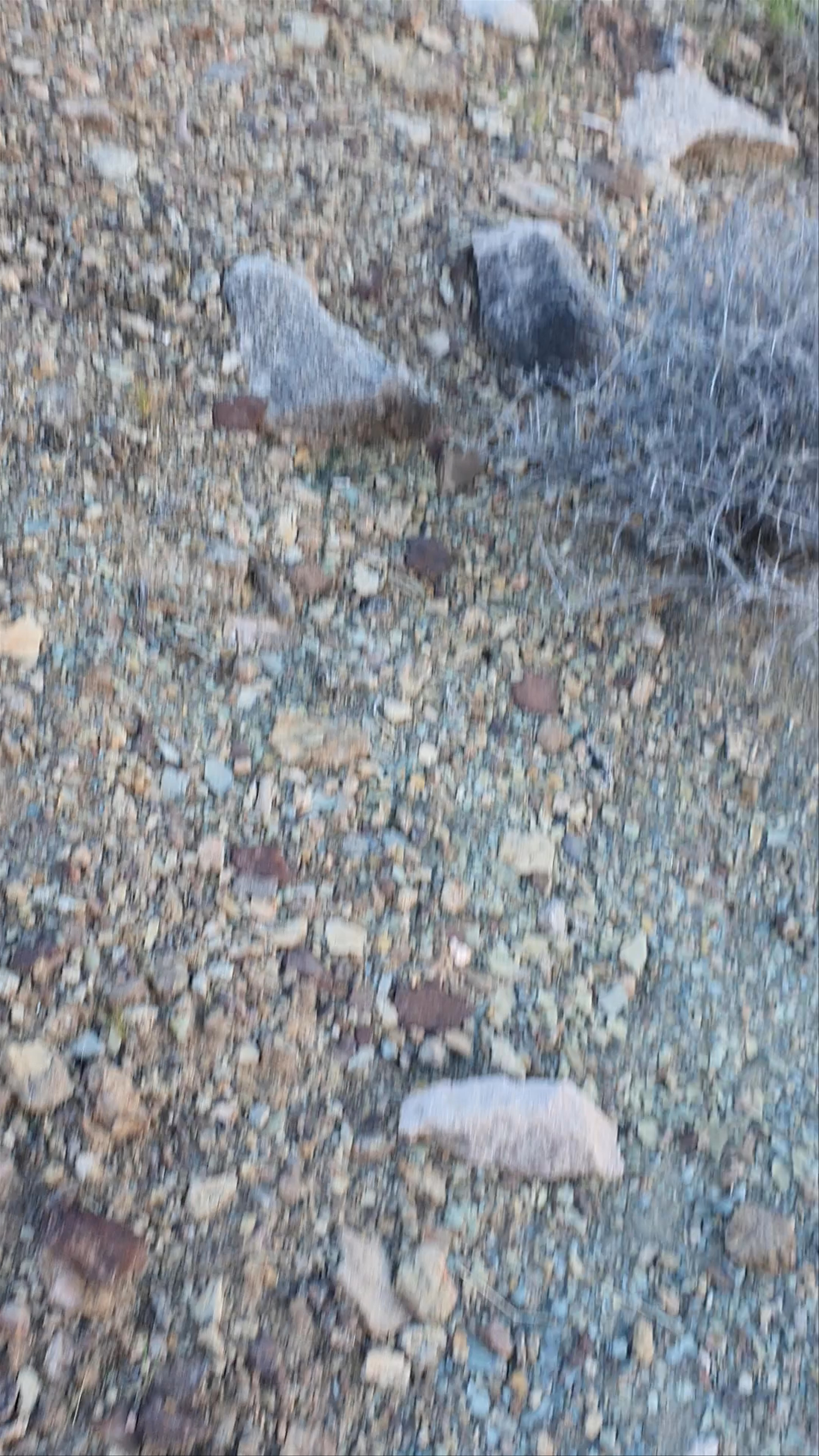 Tonto Trail