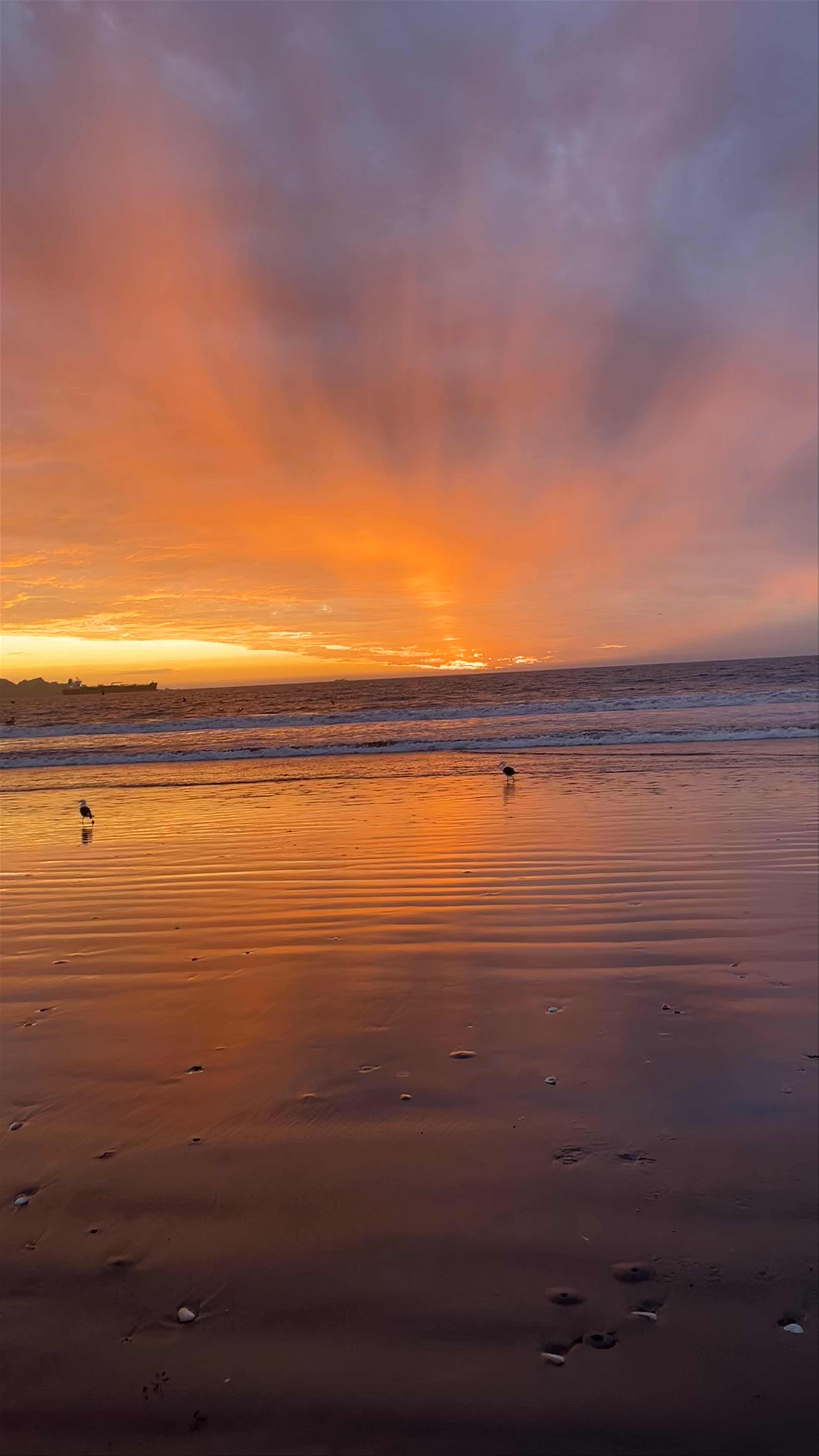 Huentelauquen Sunset Serenity: Golden Hour at Avenida del Mar, La Serena