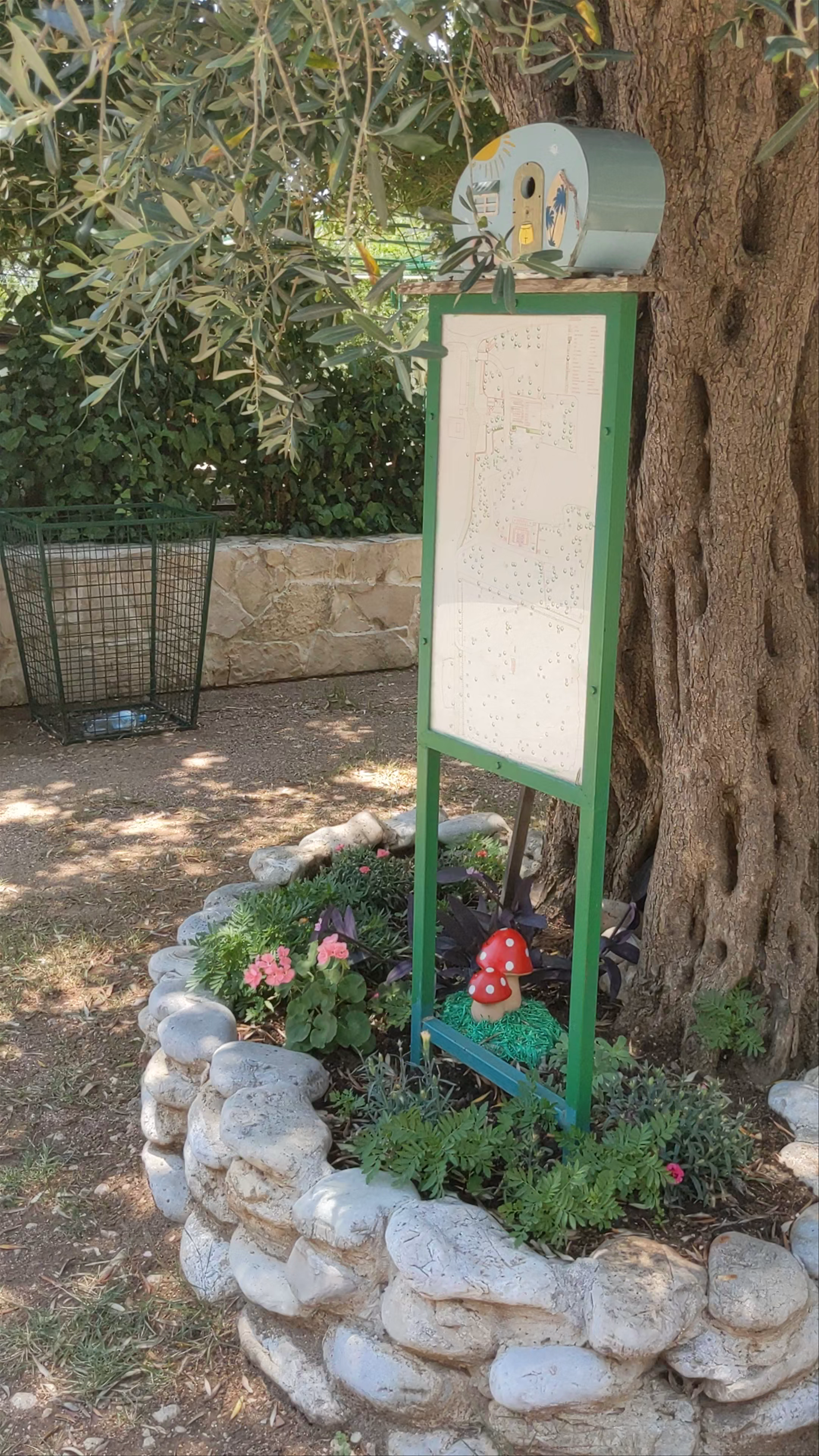 Camping Maslina