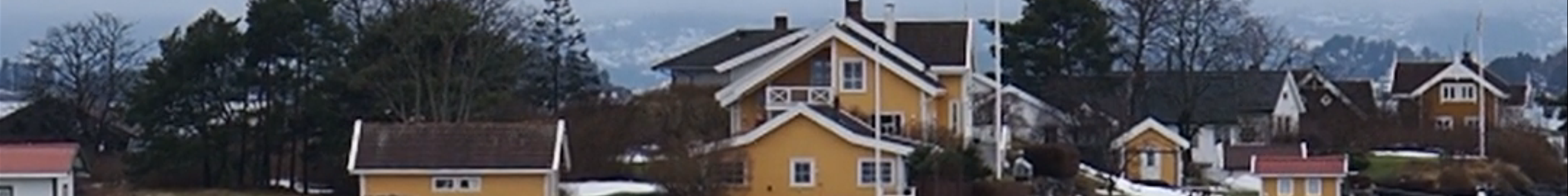 Tours & experiences in Oslo