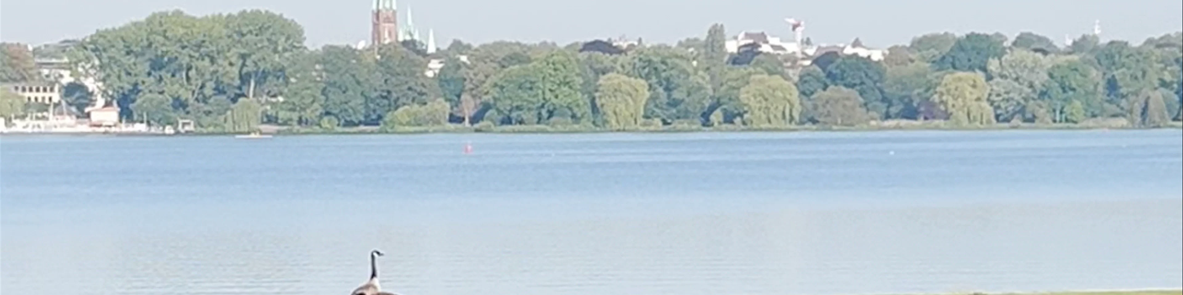 Bojenmann Alster