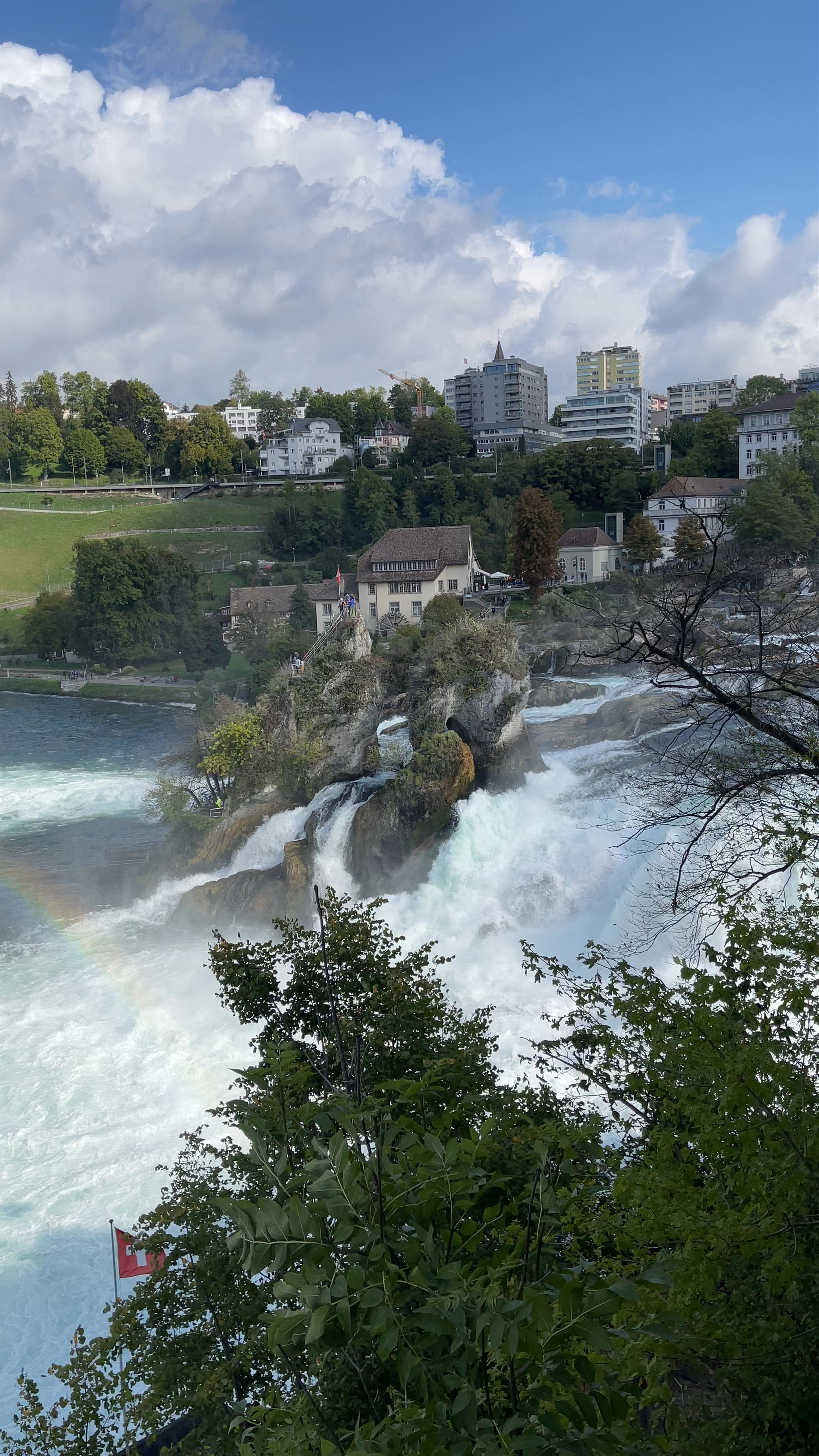 Rhine Falls