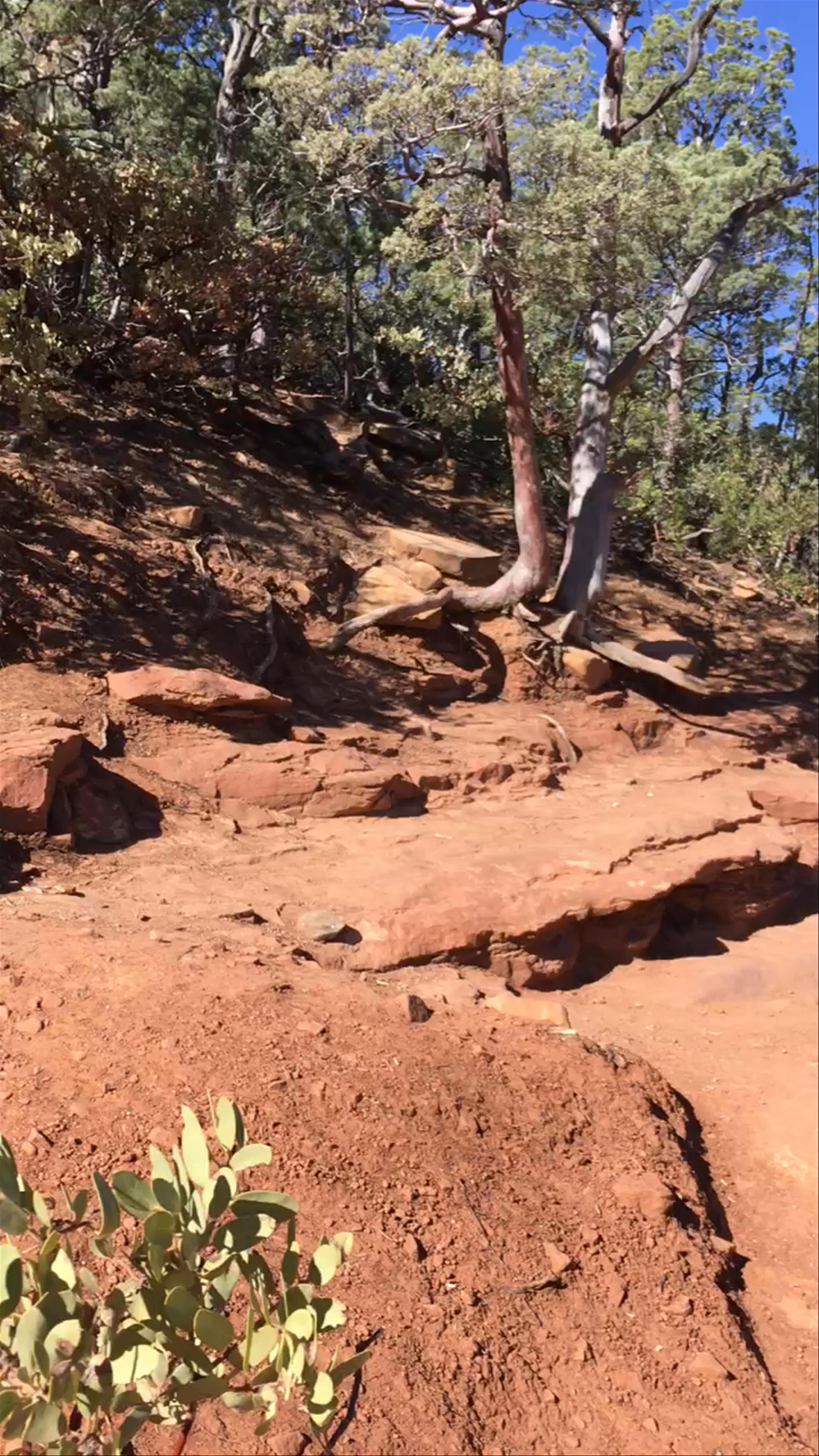 Devil's Bridge Trail