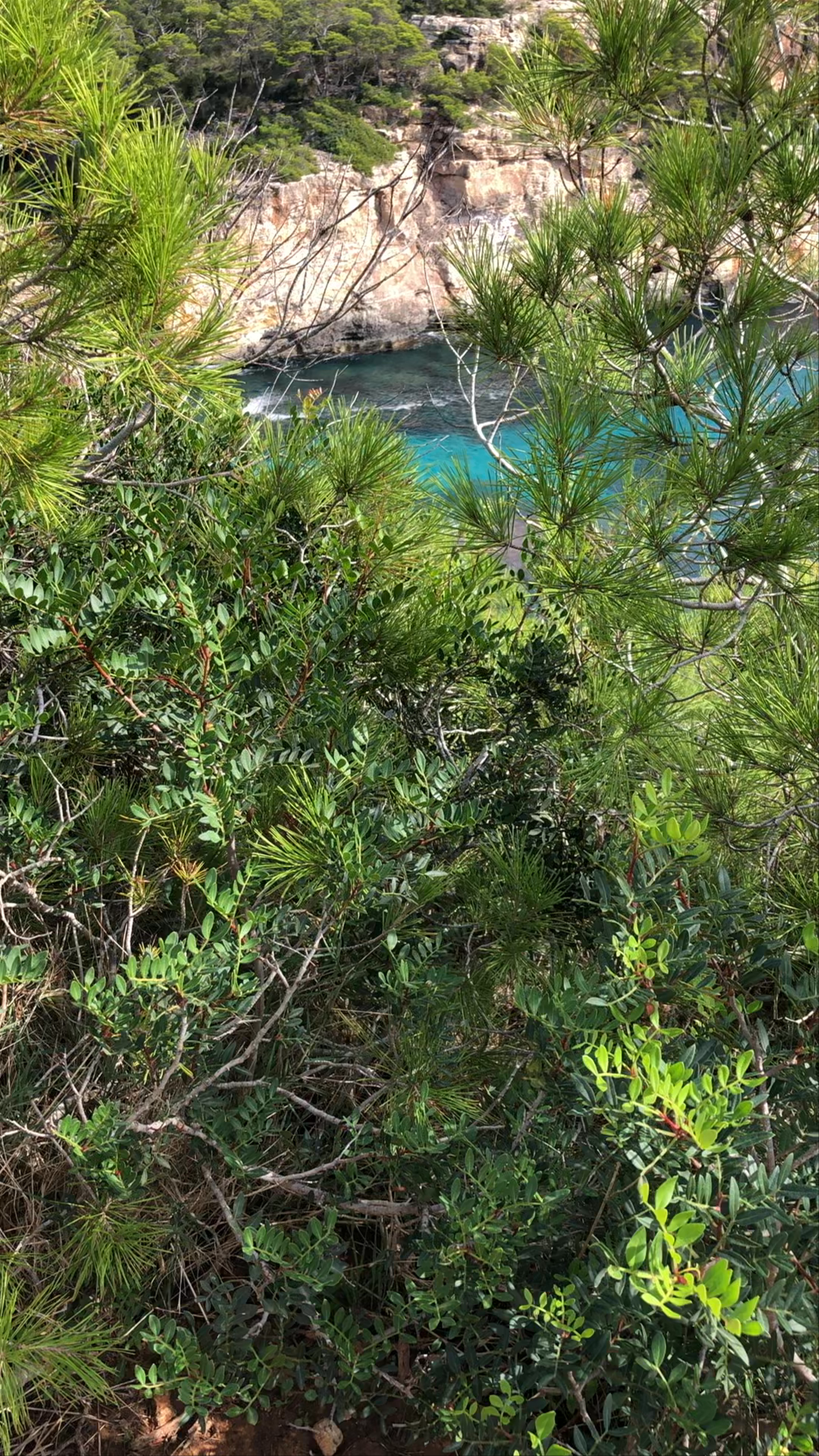 Hidden Coastal Trails of Cala d'Or, Mallorca
