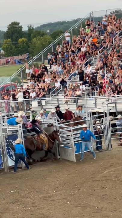 Armada Fair - Rodeo - Festivals Near Me - Armada, Michigan