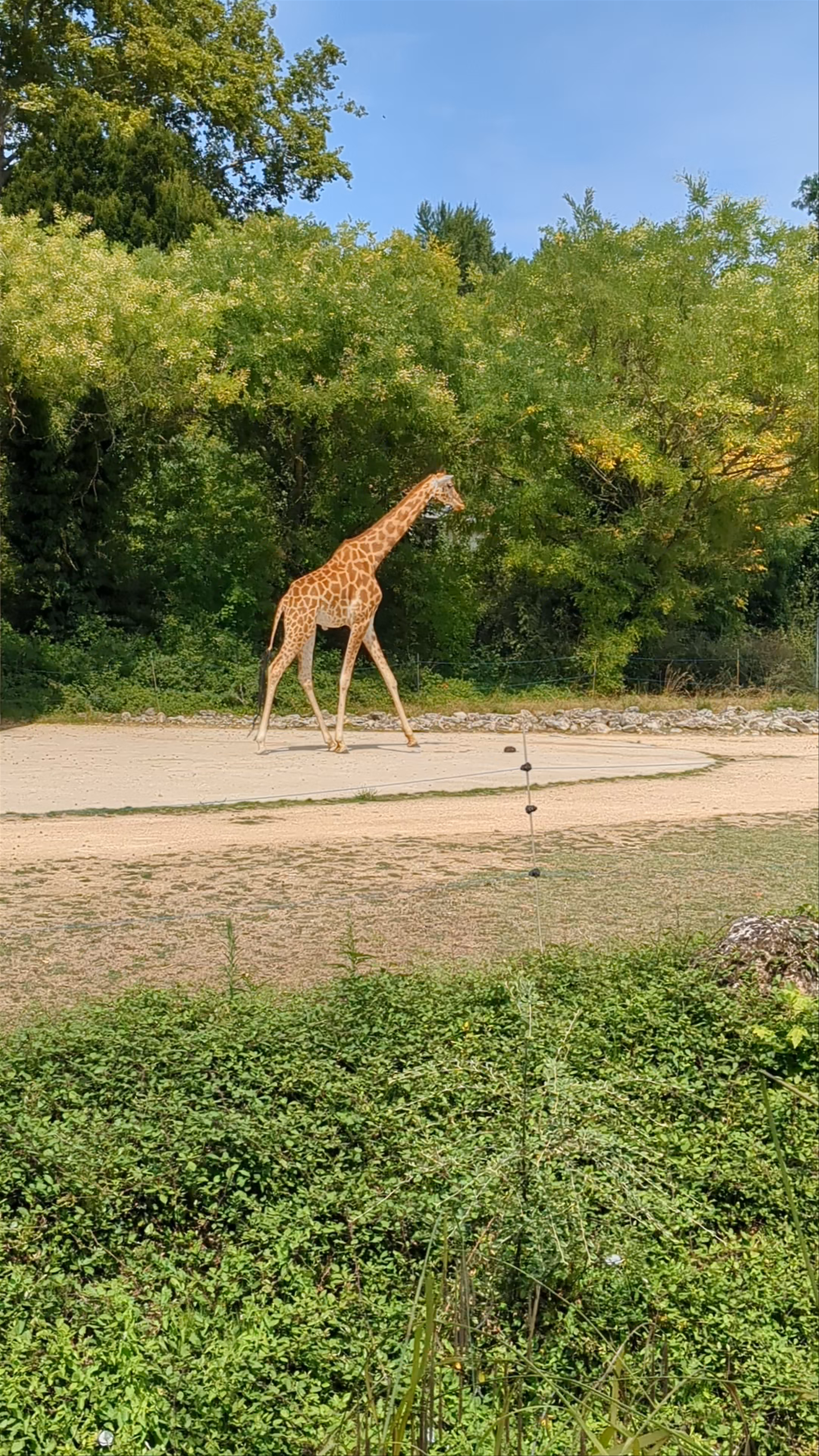 Zoo de Lyon