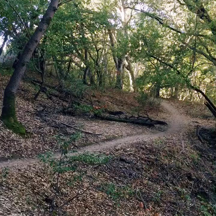 Video thumbnail 9 more videos