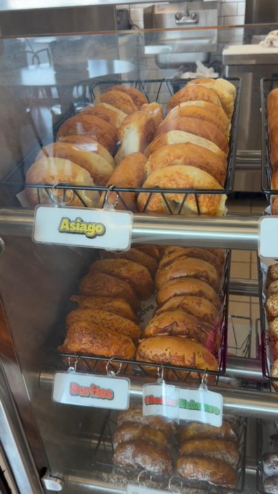 Bagels & Co - Unique Flavors - Coffee & Tea Near Me - Davie, Florida